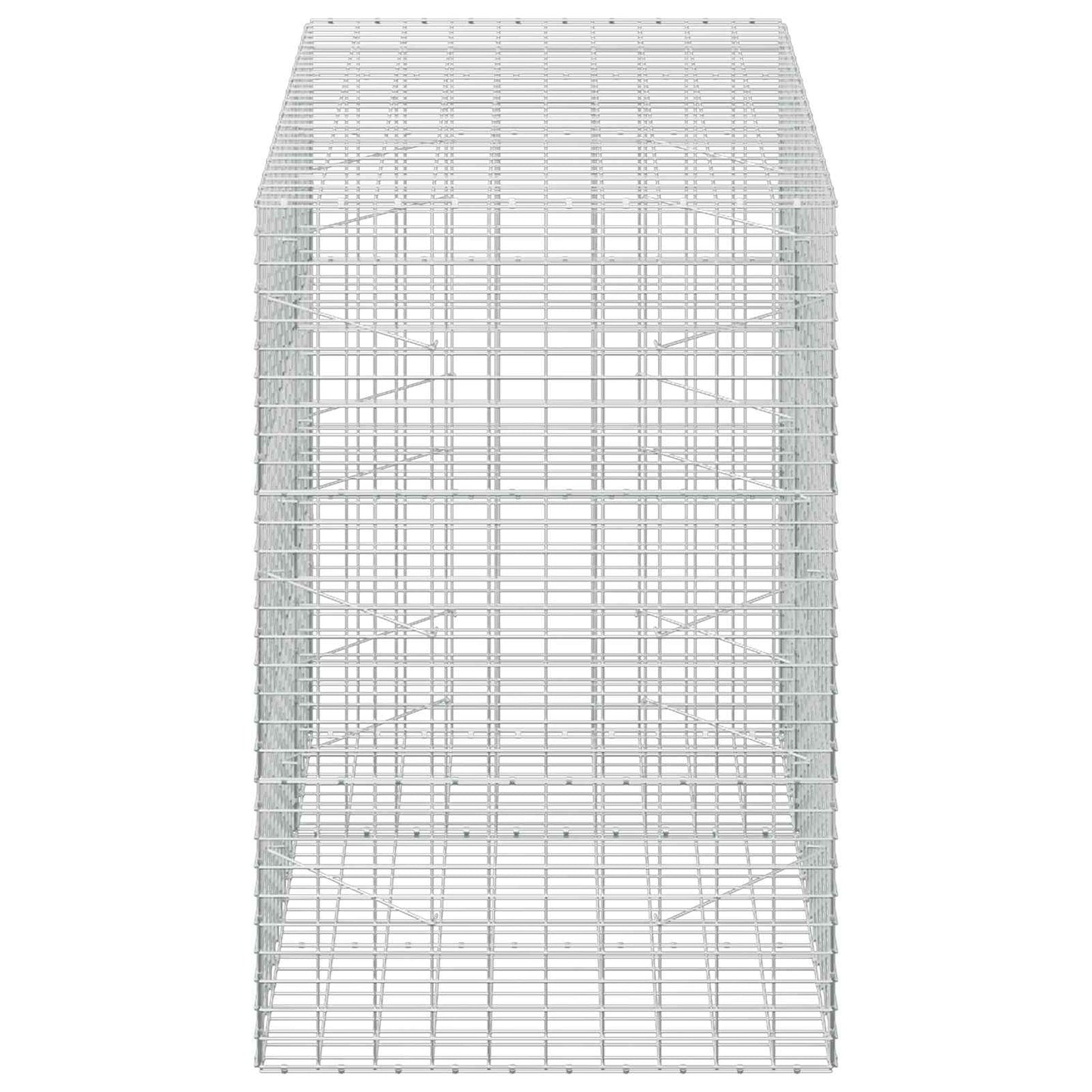 vidaXL Γκαμπιόν με σύρμα 5 mm και πλέγμα 5x10 cm 150x100x150 εκ.