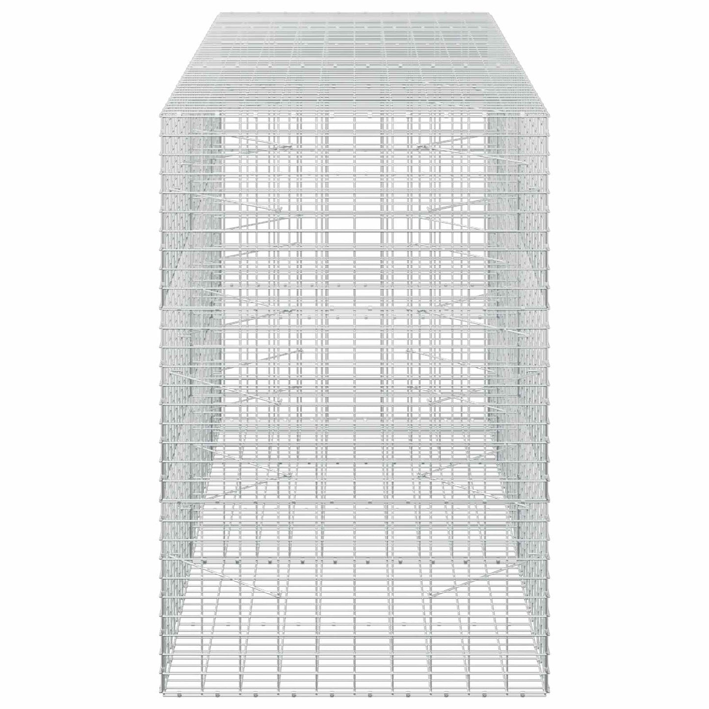 vidaXL Γκαμπιόν με σύρμα 5 mm και πλέγμα 5x10 cm 250x100x150 εκ.