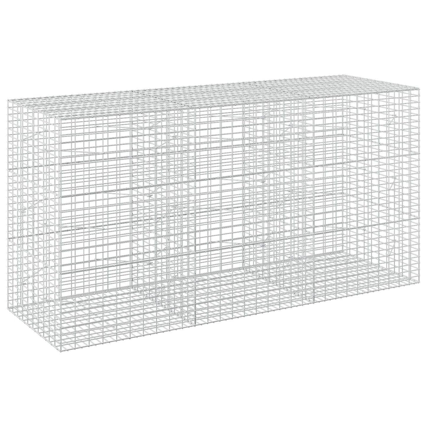 vidaXL Γκαμπιόν με σύρμα 5 mm και πλέγμα 5x10 cm 300x100x150 εκ