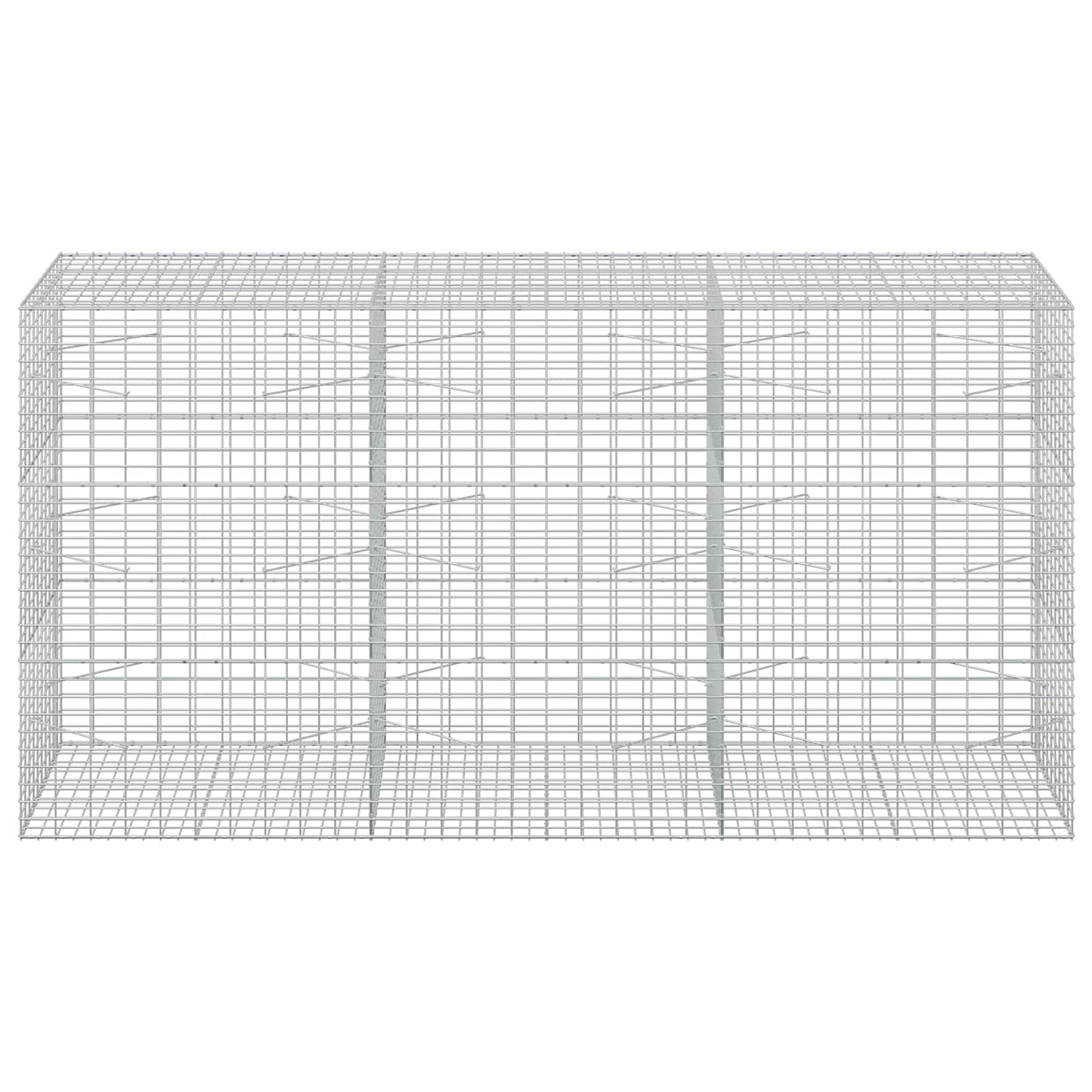 vidaXL Γκαμπιόν με σύρμα 5 mm και πλέγμα 5x10 cm 300x100x150 εκ