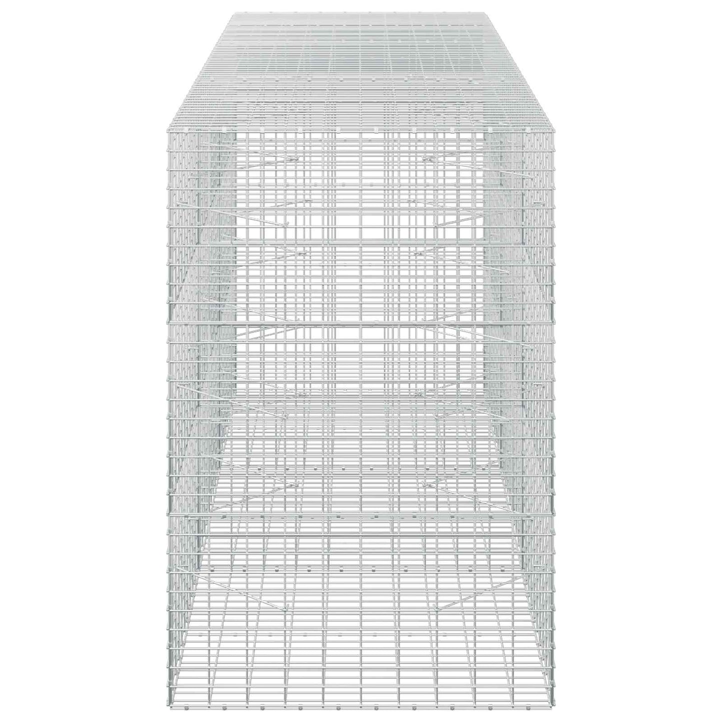 vidaXL Γκαμπιόν με σύρμα 5 mm και πλέγμα 5x10 cm 300x100x150 εκ