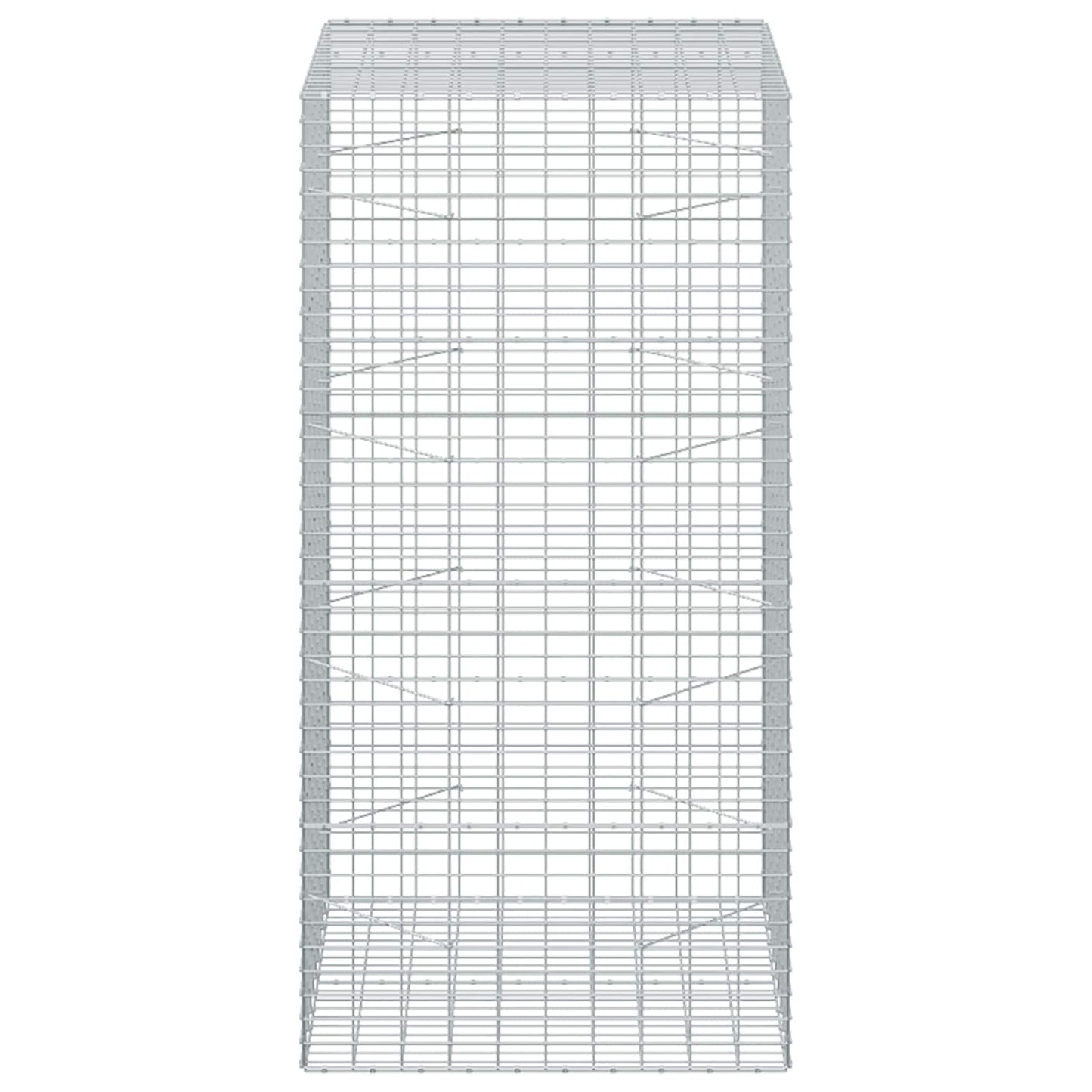 vidaXL Γκαμπιόν με σύρμα 5 mm και πλέγμα 5x10 cm 100x100x200 εκ