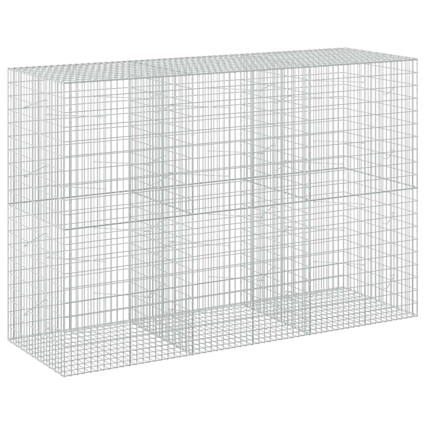 vidaXL Γκαμπιόν με σύρμα 5 mm και πλέγμα 5x10 cm 300x100x200 εκ
