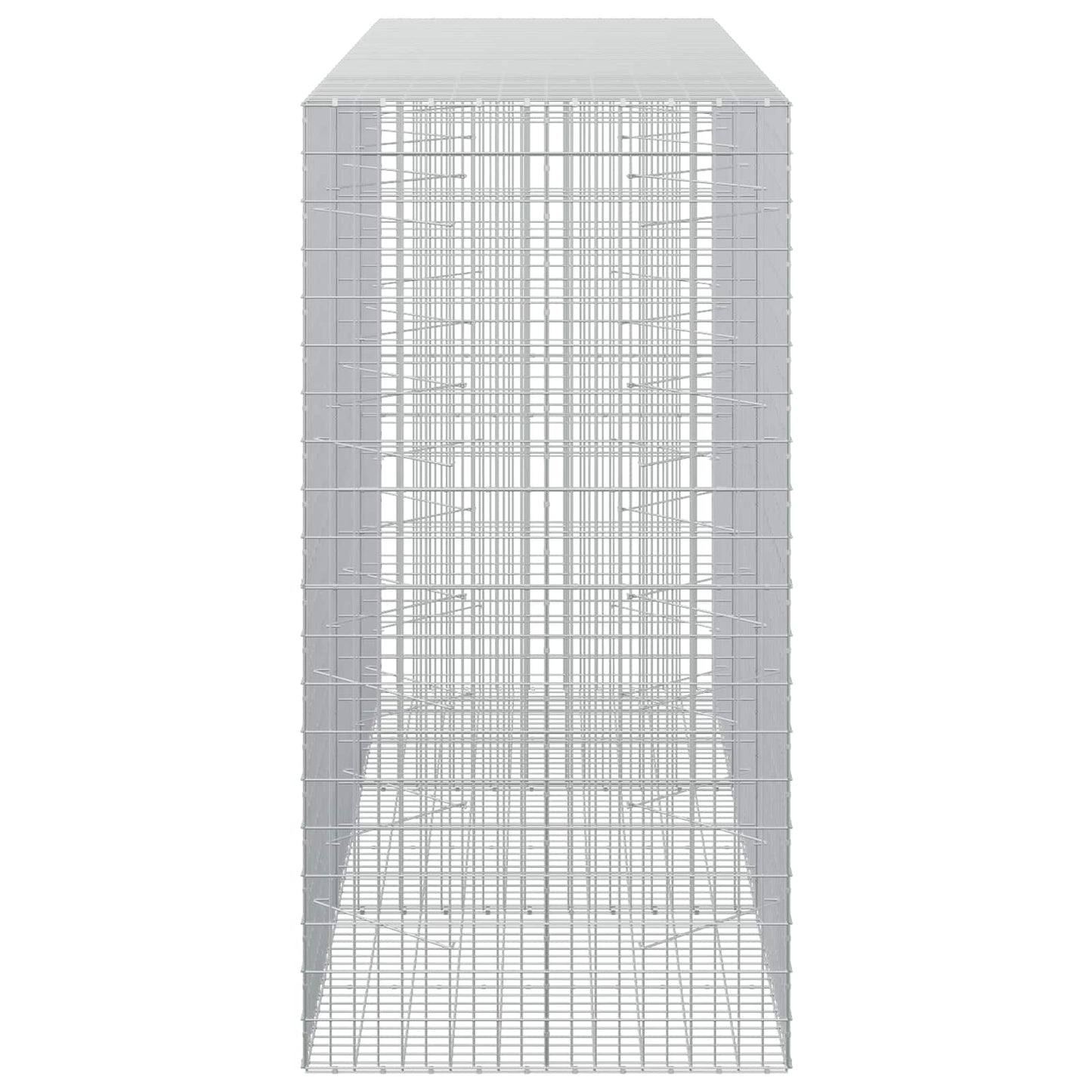 vidaXL Γκαμπιόν με σύρμα 5 mm και πλέγμα 5x10 cm 300x100x200 εκ