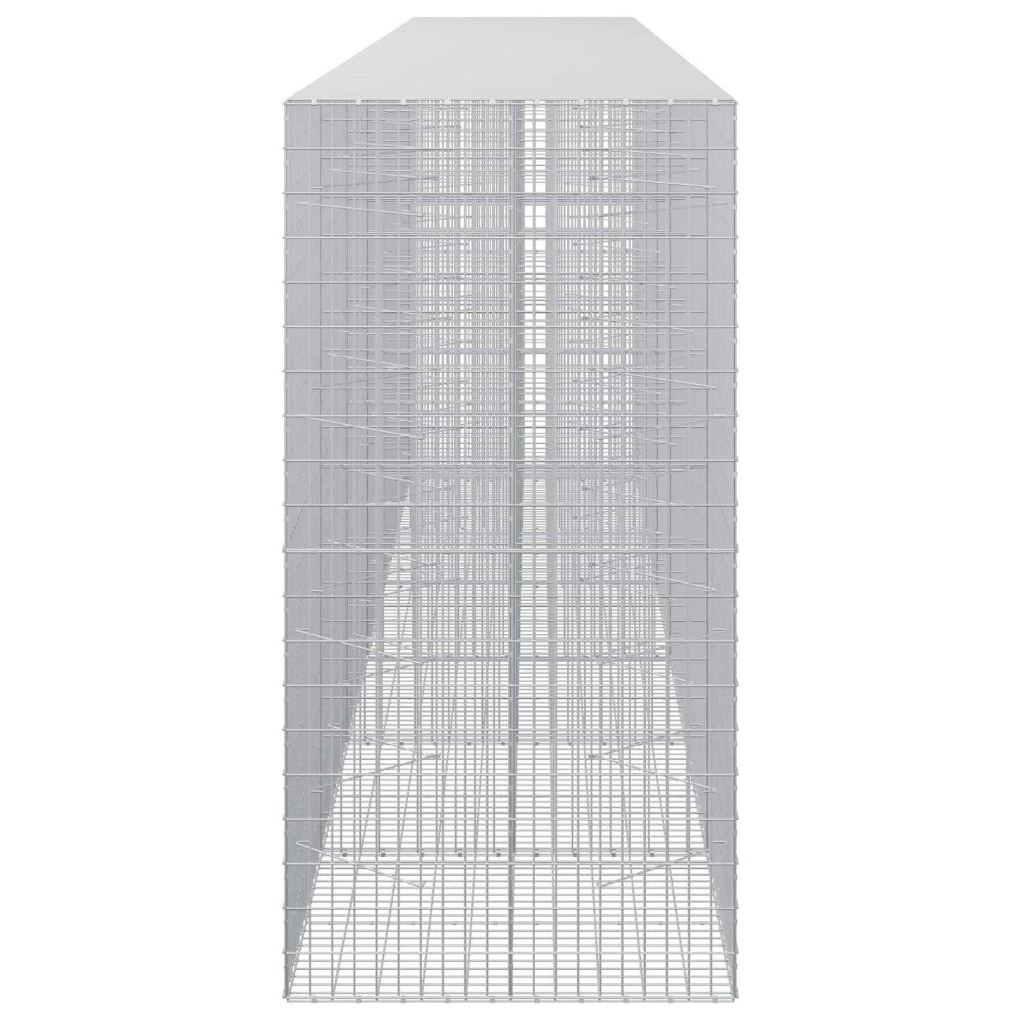 vidaXL Γκαμπιόν με σύρμα 5 mm και πλέγμα 5x10 cm 650x100x200 εκ