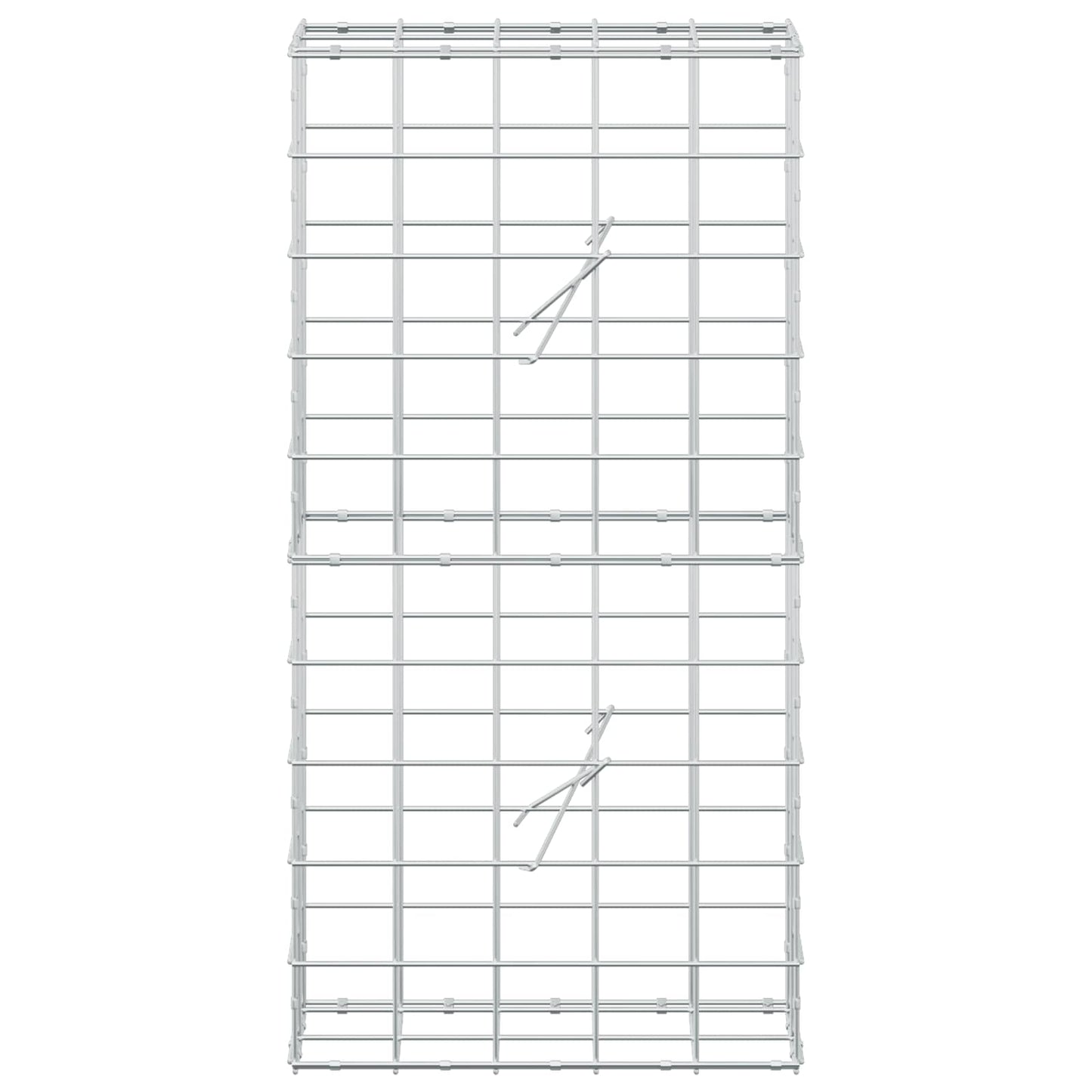 vidaXL Γκαμπιόν με σύρμα 5 mm και πλέγμα 10x10 cm 50x20x100 εκ
