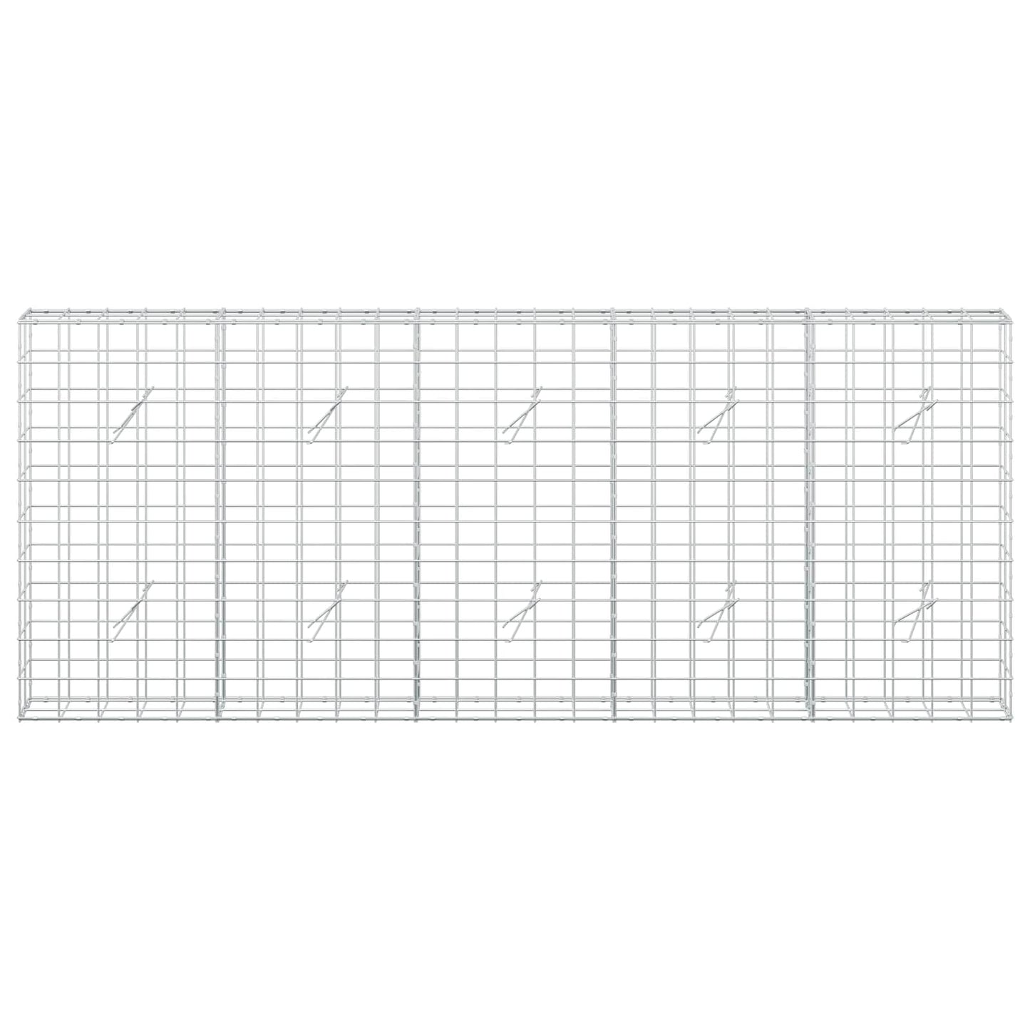vidaXL Γκαμπιόν με σύρμα 5 mm και πλέγμα 10x10 cm 250x20x100 εκ