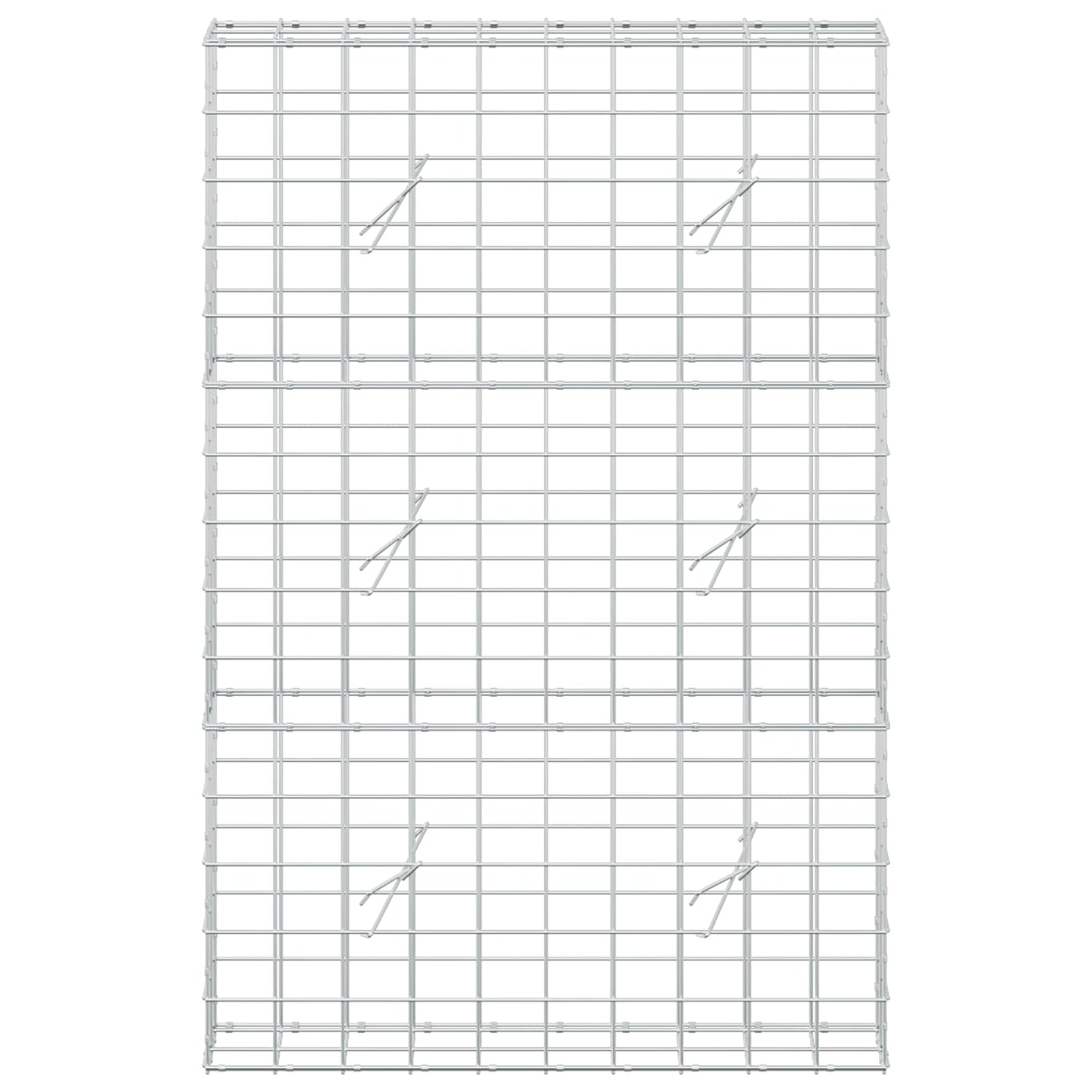 vidaXL Γκαμπιόν με σύρμα 5 mm και πλέγμα 10x10 cm 100x20x150 εκ