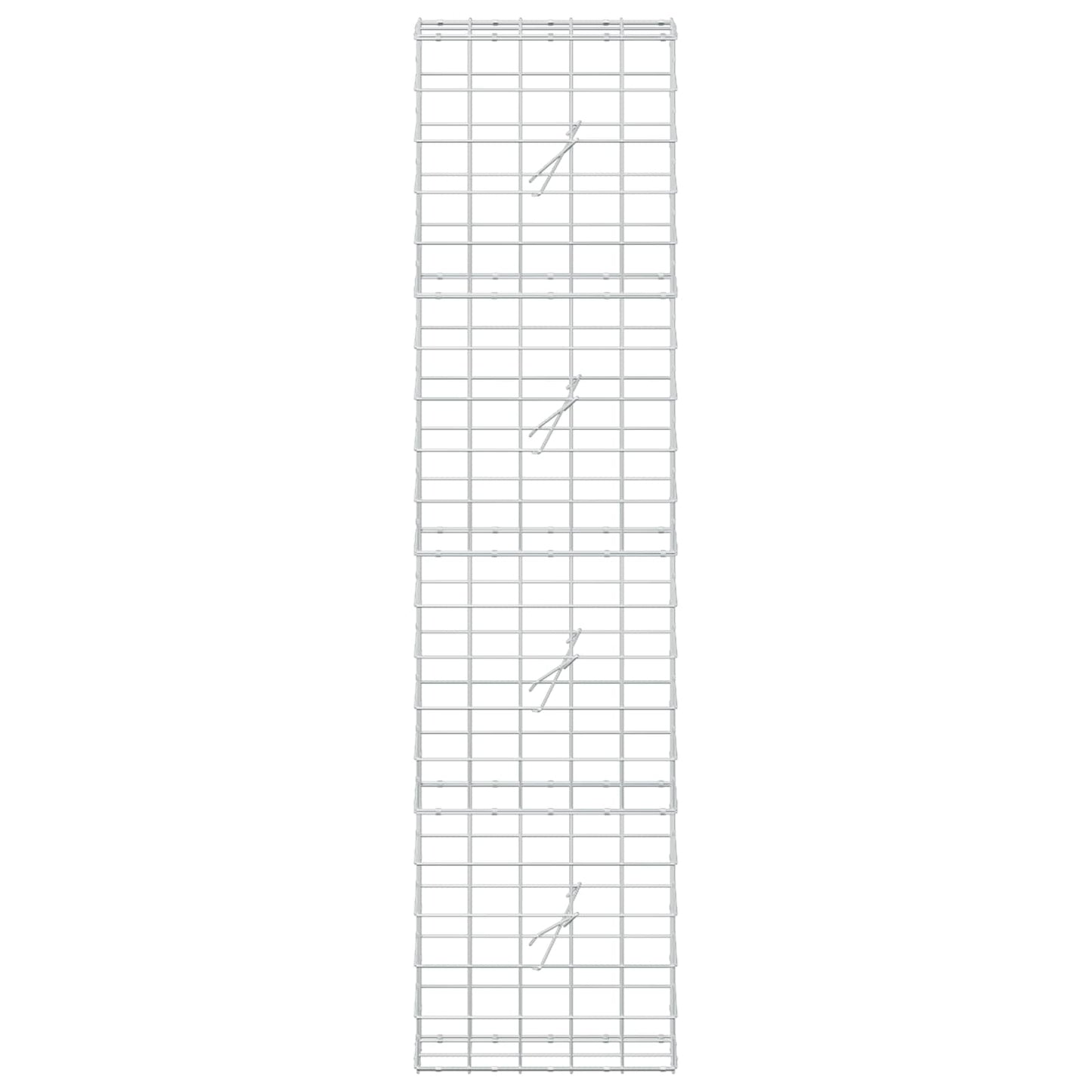vidaXL Γκαμπιόν με σύρμα 5 mm και πλέγμα 10x10 cm 50x20x200 εκ