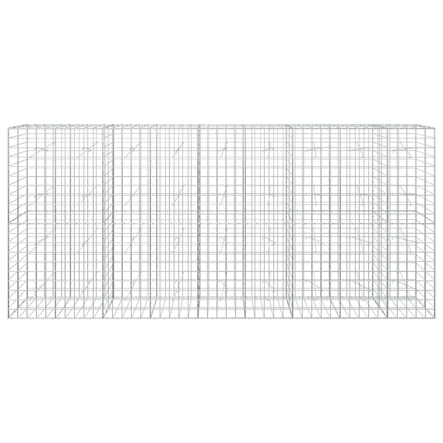 vidaXL Γκαμπιόν με σύρμα 5 mm και πλέγμα 10x10 cm 450x20x200 εκ