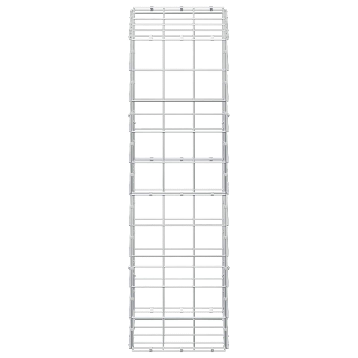 vidaXL Γκαμπιόν με σύρμα 5 mm και πλέγμα 10x10 cm 50x30x100 εκ