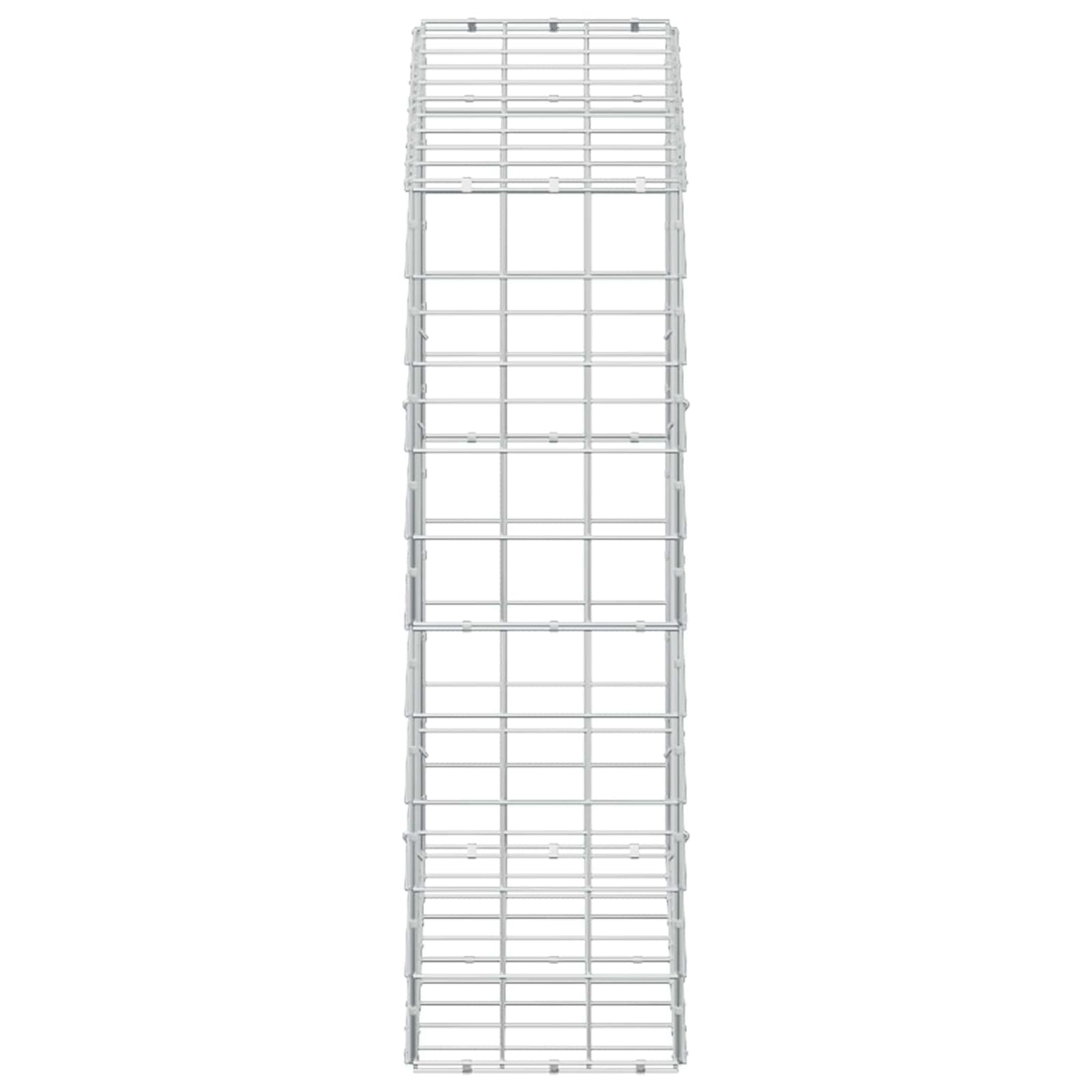 vidaXL Γκαμπιόν με σύρμα 5 mm και πλέγμα 10x10 cm 100x30x100 εκ
