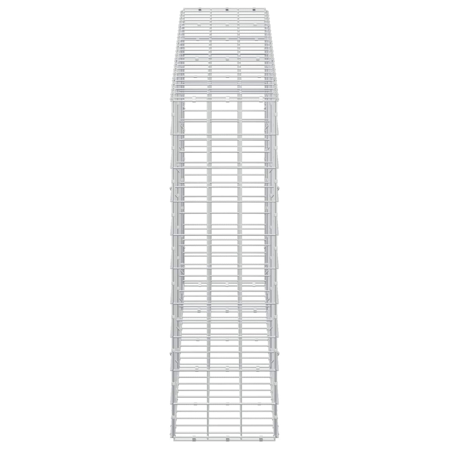 vidaXL Γκαμπιόν με σύρμα 5 mm και πλέγμα 10x10 cm 250x30x100 εκ
