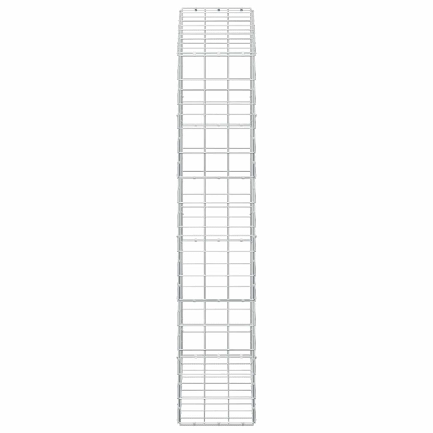 vidaXL Γκαμπιόν με σύρμα 5 mm και πλέγμα 10x10 cm 100x30x150 εκ