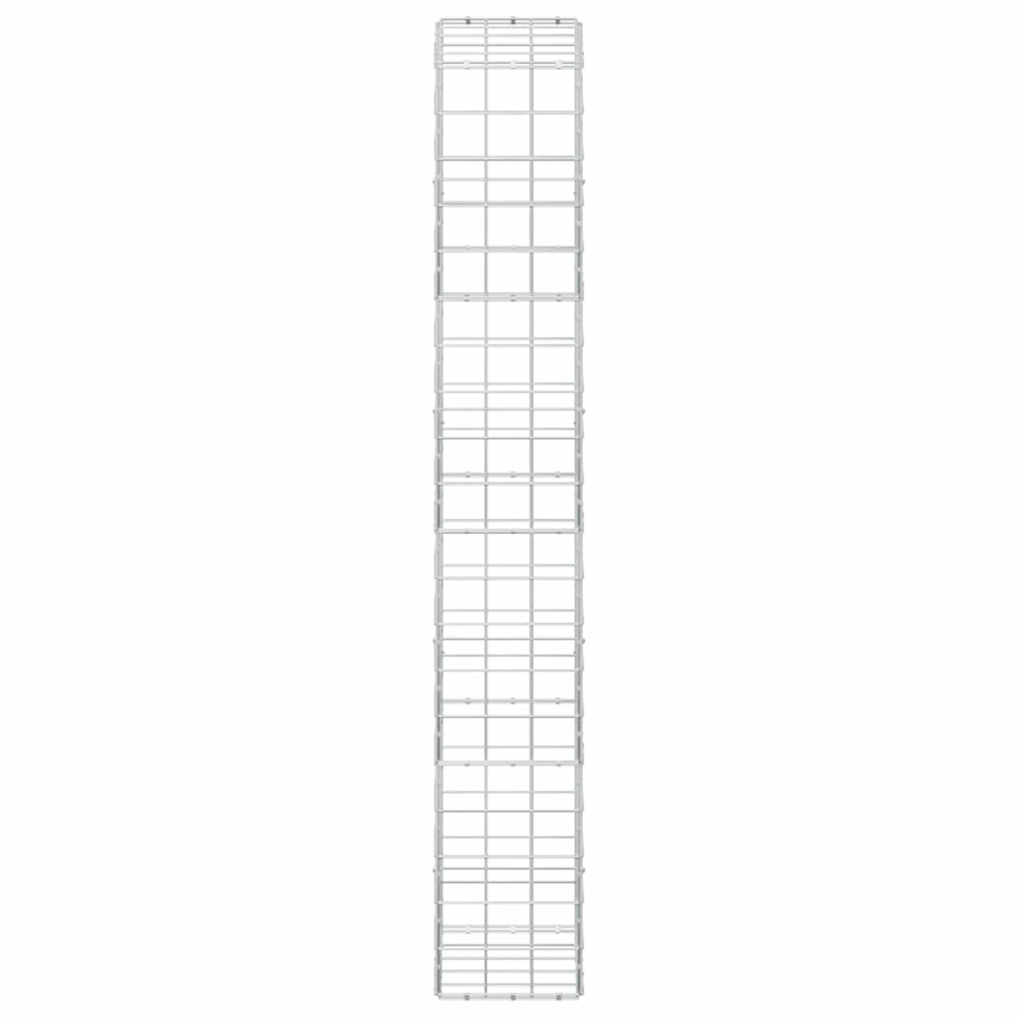 vidaXL Γκαμπιόν με σύρμα 5 mm και πλέγμα 10x10 cm 50x30x200 εκ
