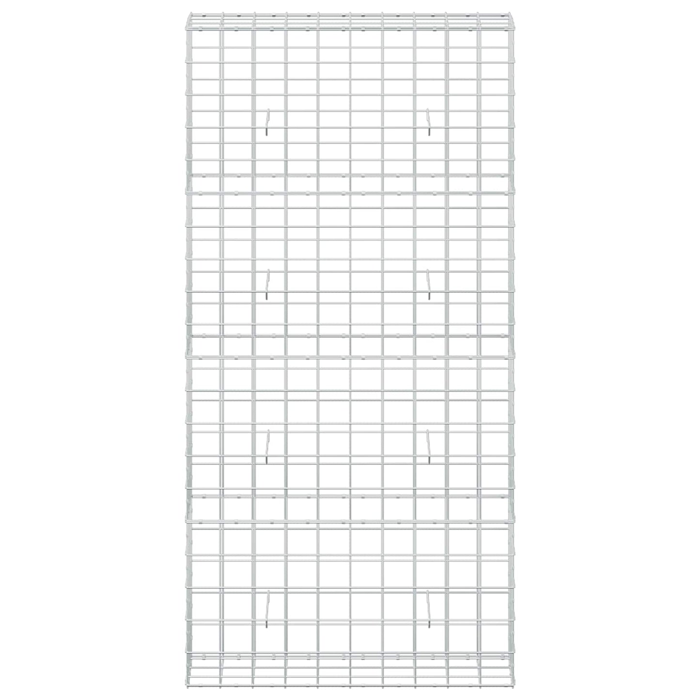 vidaXL Γκαμπιόν με σύρμα 5 mm και πλέγμα 10x10 cm 100x30x200 εκ.