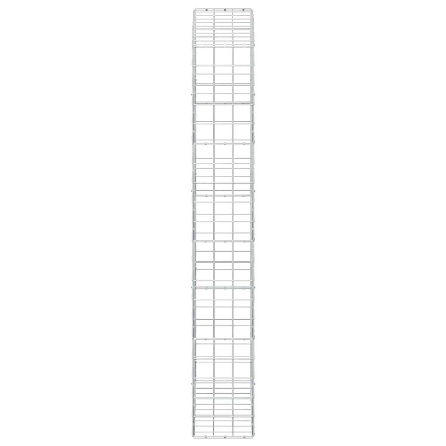 vidaXL Γκαμπιόν με σύρμα 5 mm και πλέγμα 10x10 cm 100x30x200 εκ.