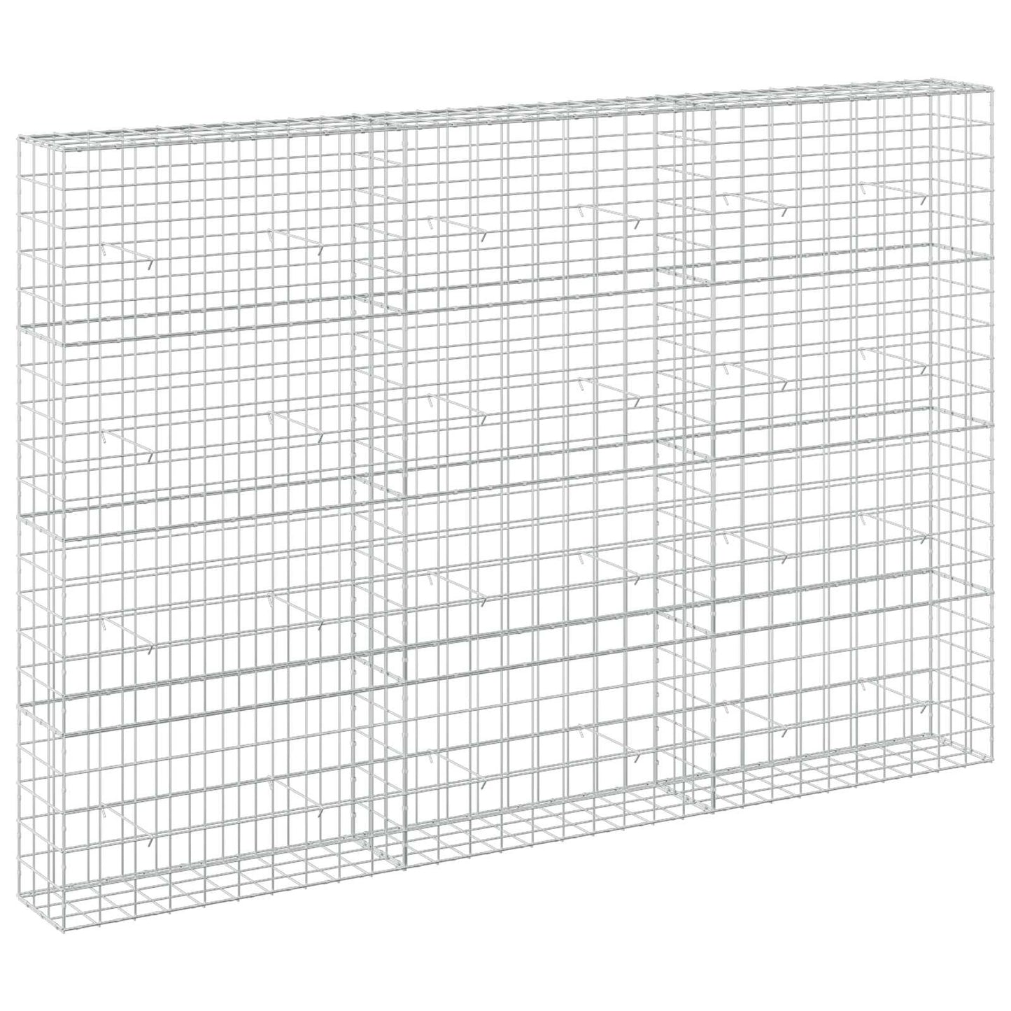 vidaXL Γκαμπιόν με σύρμα 5 mm και πλέγμα 10x10 cm 300x30x200 εκ