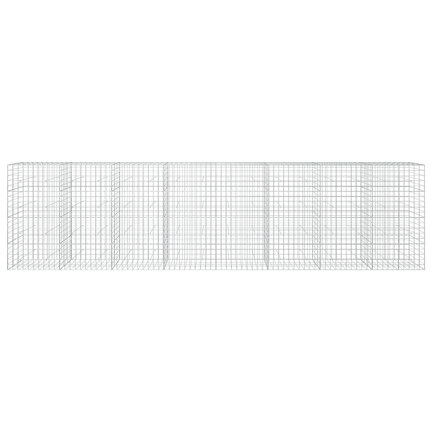 vidaXL Γκαμπιόν με σύρμα 5 mm και πλέγμα 10x10 cm 800x30x200 εκ