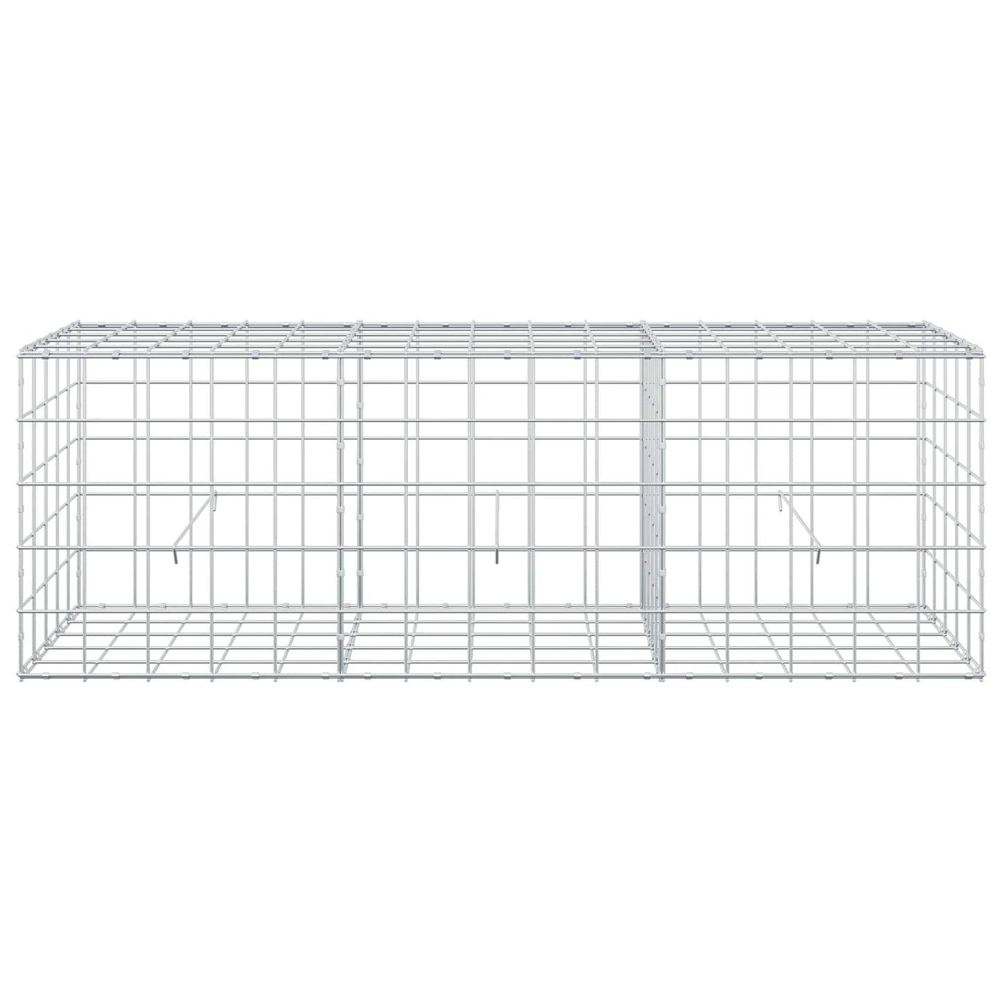 vidaXL Γκαμπιόν με σύρμα 5 mm και πλέγμα 10x10 cm 150x50x50 εκ.