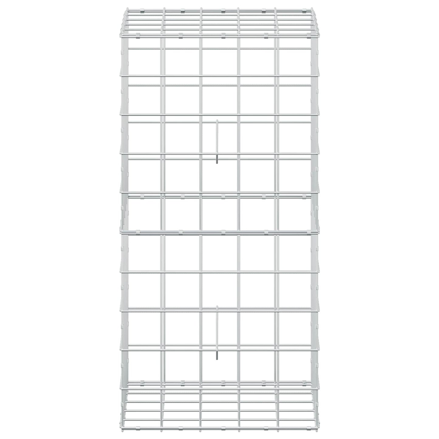 vidaXL Γκαμπιόν με σύρμα 5 mm και πλέγμα 10x10 cm 50x50x100 εκ