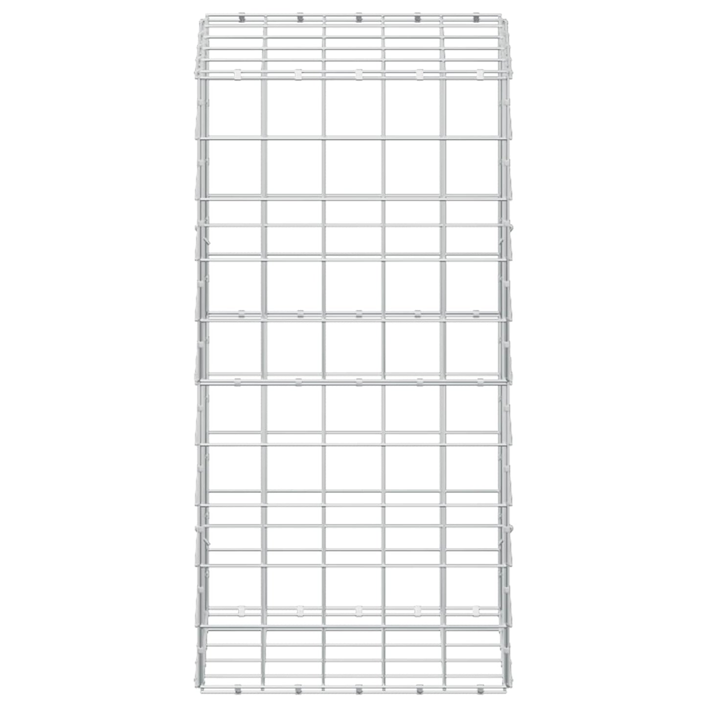vidaXL Γκαμπιόν με σύρμα 5 mm και πλέγμα 10x10 cm 50x50x100 εκ