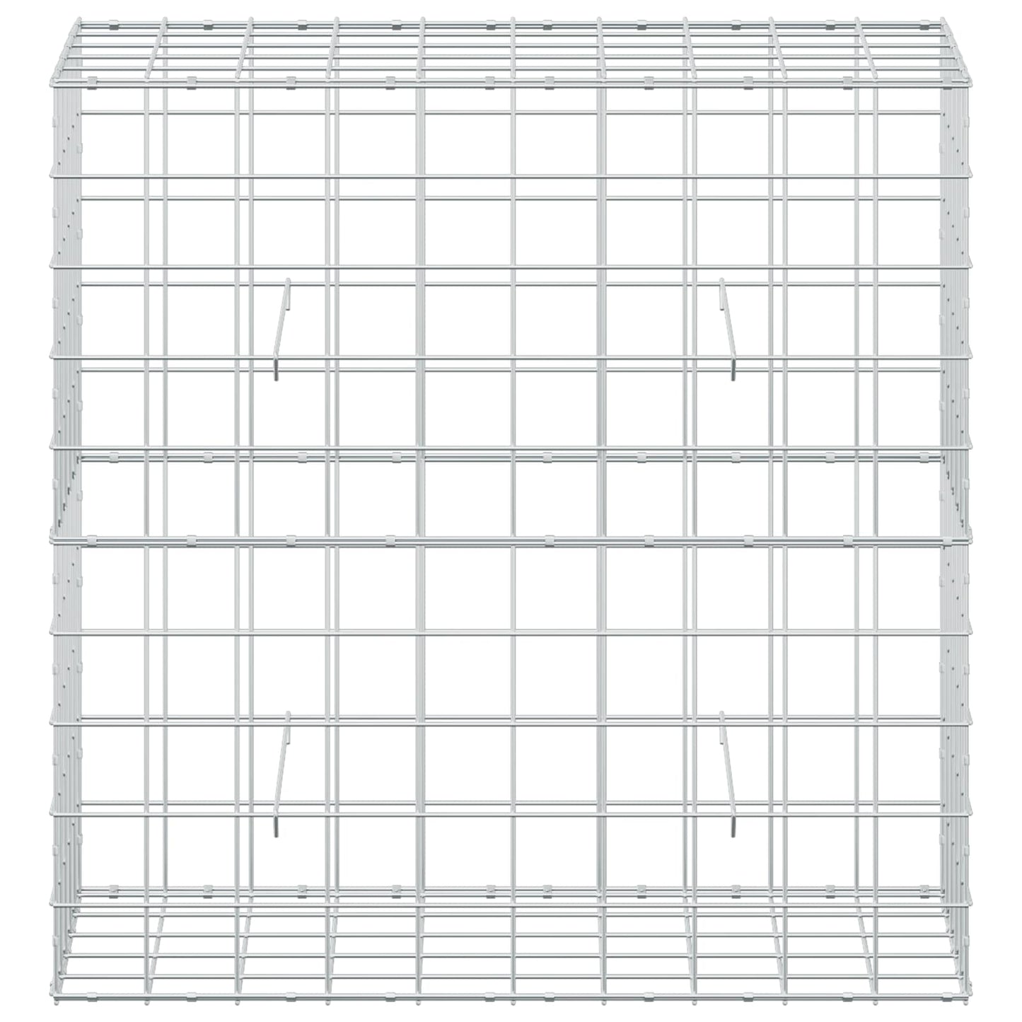 vidaXL Γκαμπιόν με σύρμα 5 mm και πλέγμα 10x10 cm 100x50x100 εκ