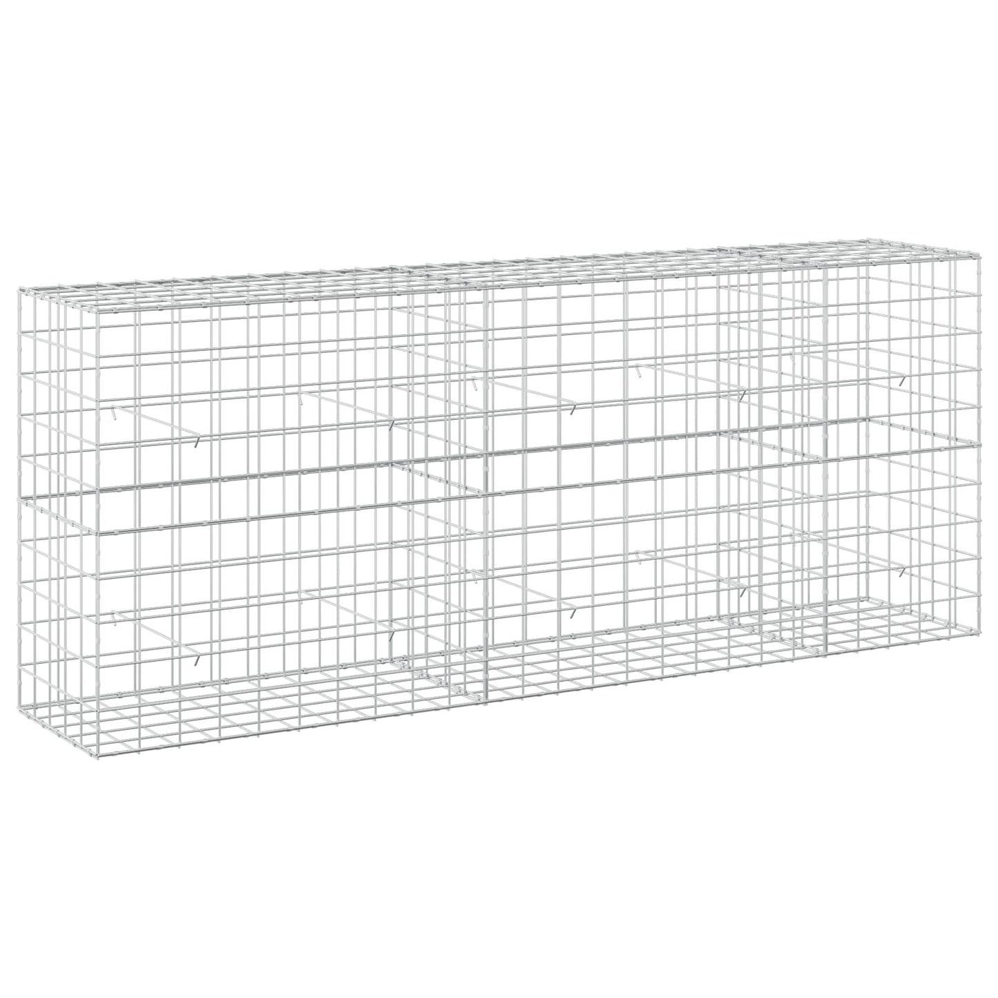vidaXL Γκαμπιόν με σύρμα 5 mm και πλέγμα 10x10 cm 250x50x100 εκ