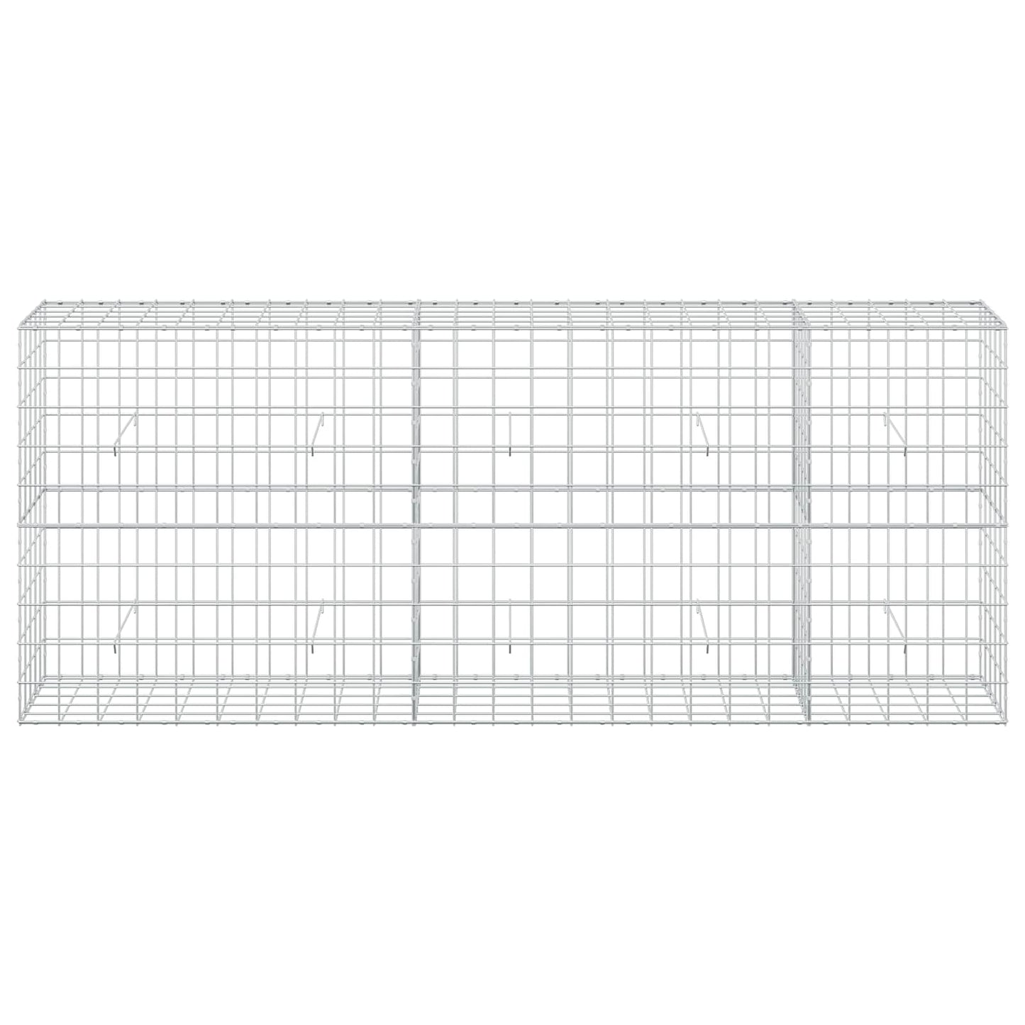 vidaXL Γκαμπιόν με σύρμα 5 mm και πλέγμα 10x10 cm 250x50x100 εκ