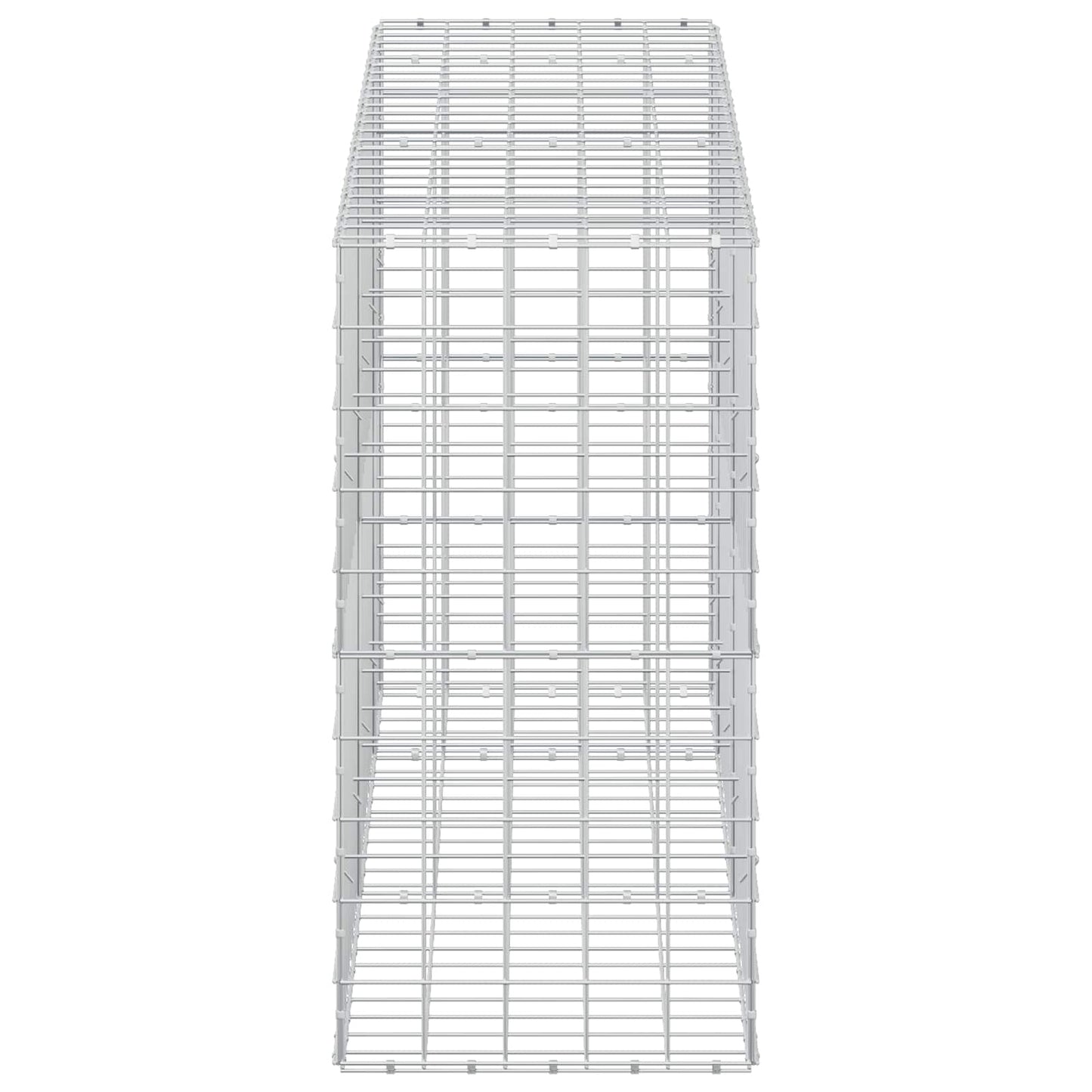 vidaXL Γκαμπιόν με σύρμα 5 mm και πλέγμα 10x10 cm 250x50x100 εκ