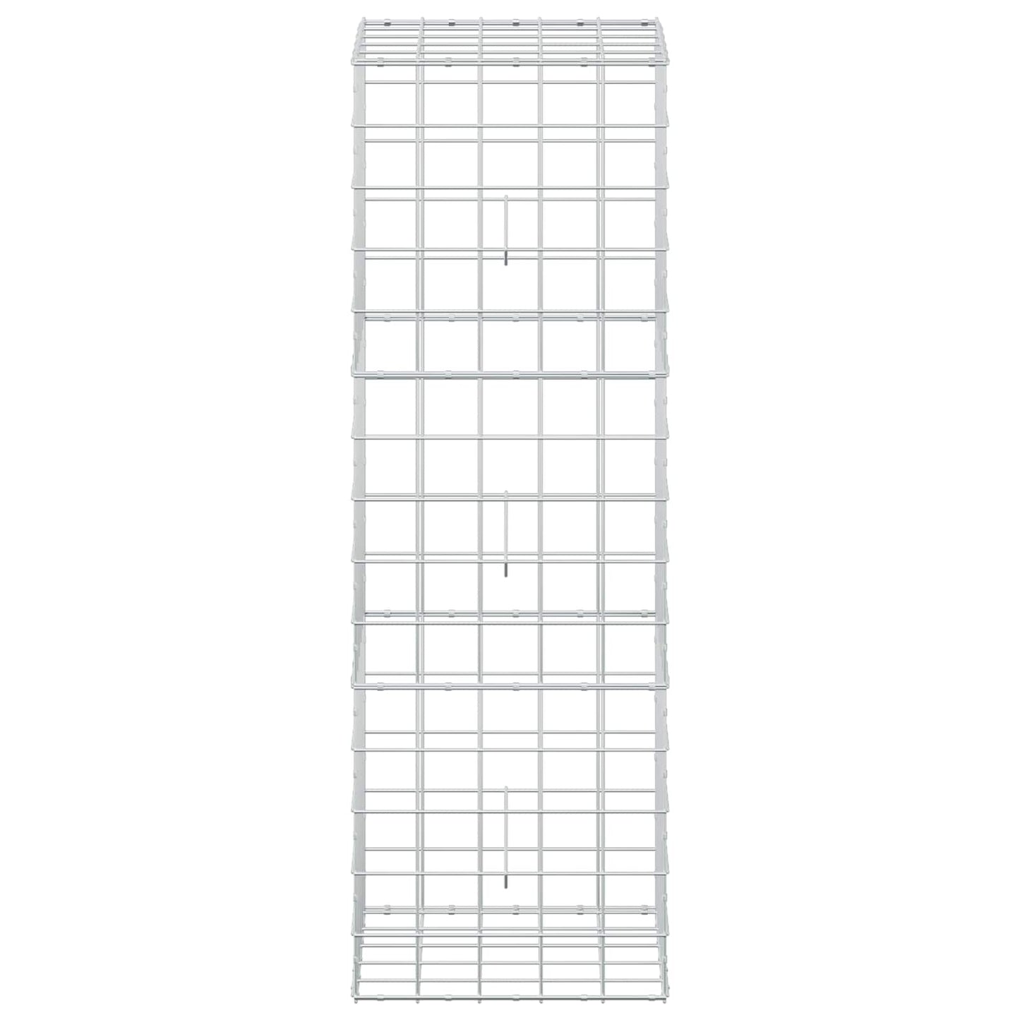 vidaXL Γκαμπιόν με σύρμα 5 mm και πλέγμα 10x10 cm 50x50x150 εκ