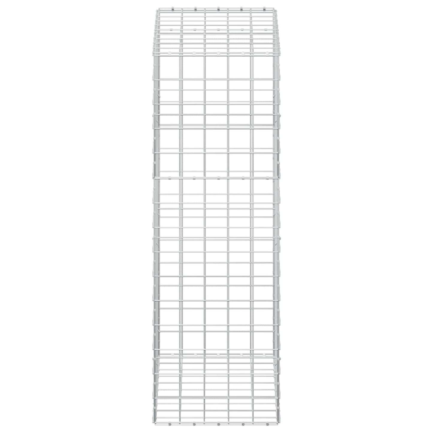 vidaXL Γκαμπιόν με σύρμα 5 mm και πλέγμα 10x10 cm 100x50x150 εκ