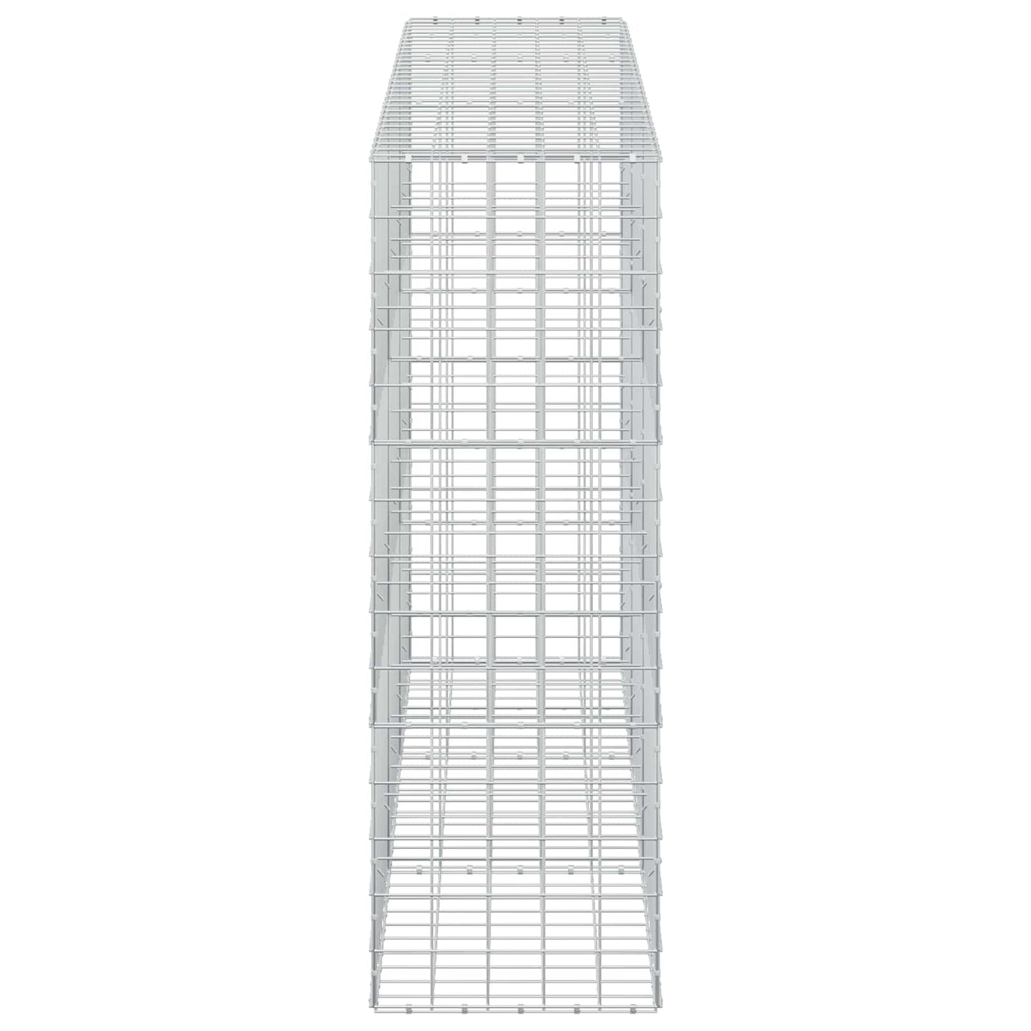 vidaXL Γκαμπιόν με σύρμα 5 mm και πλέγμα 10x10 cm 300x50x150 εκ.