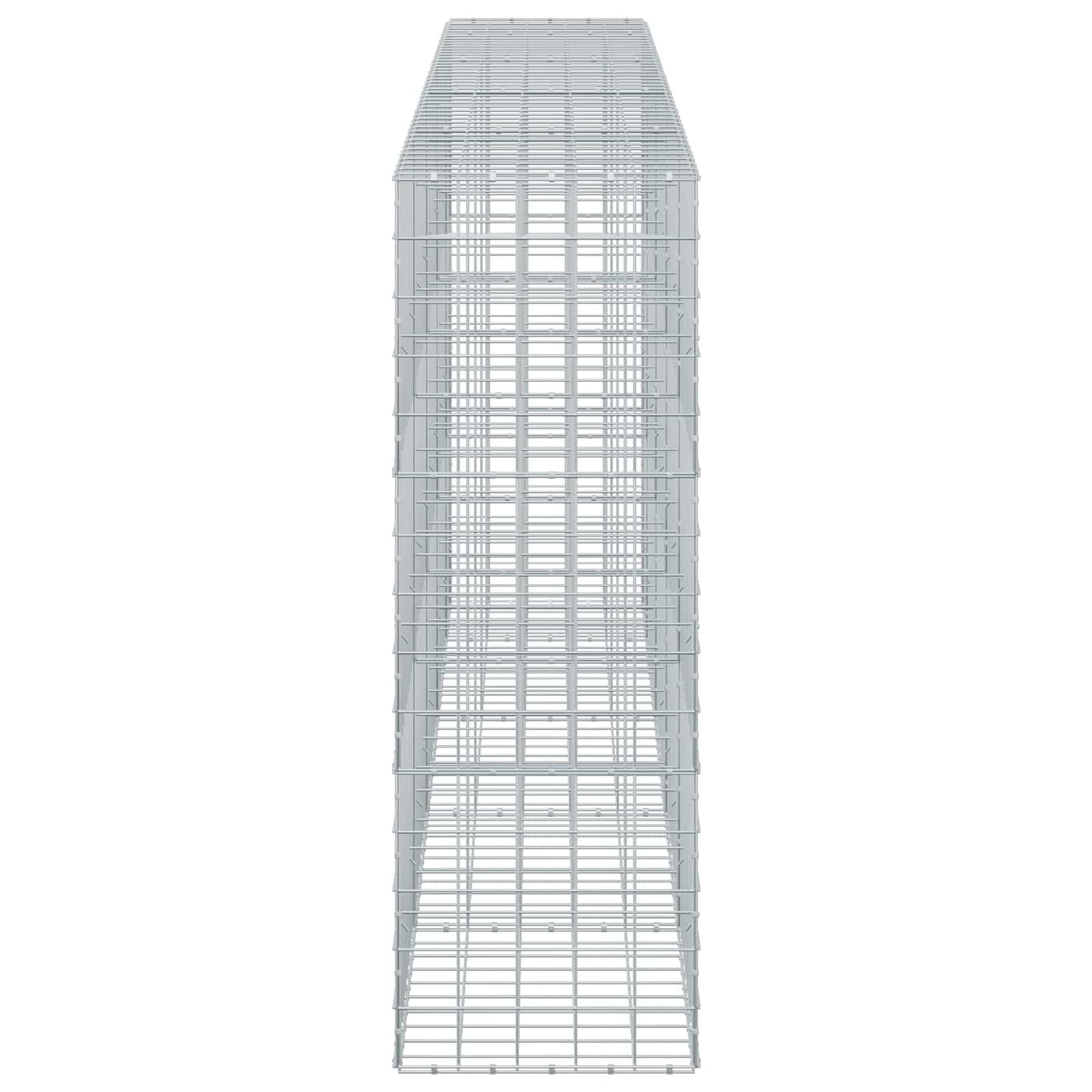 vidaXL Γκαμπιόν με σύρμα 5 mm και πλέγμα 10x10 cm 450x50x150 εκ