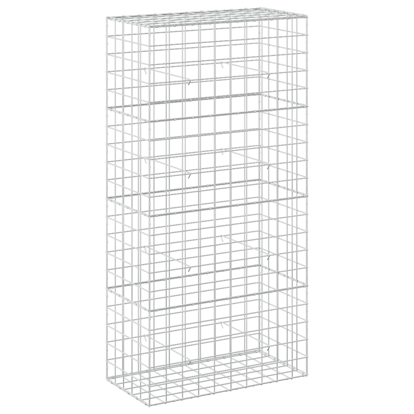 vidaXL Γκαμπιόν με σύρμα 5 mm και πλέγμα 10x10 cm 100x50x200 cm