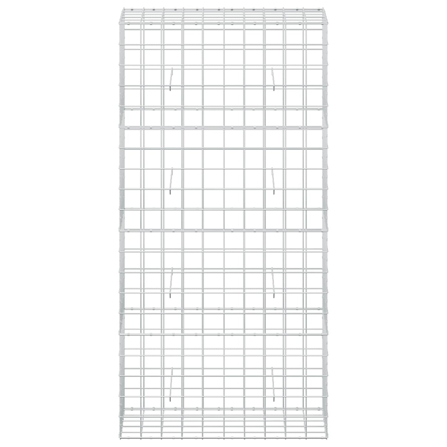 vidaXL Γκαμπιόν με σύρμα 5 mm και πλέγμα 10x10 cm 100x50x200 cm