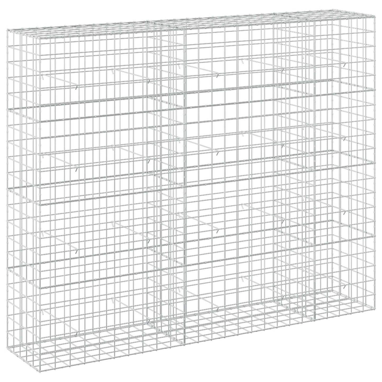 vidaXL Γκαμπιόν με σύρμα 5 mm και πλέγμα 10x10 cm 250x50x200 εκ.