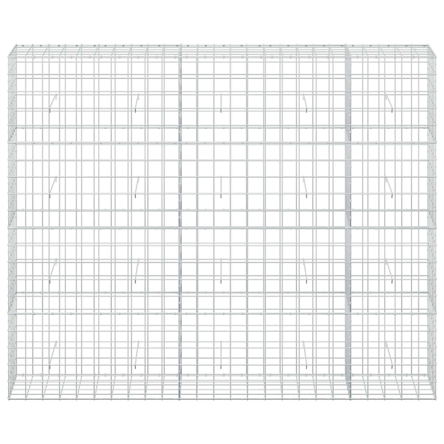 vidaXL Γκαμπιόν με σύρμα 5 mm και πλέγμα 10x10 cm 250x50x200 εκ.