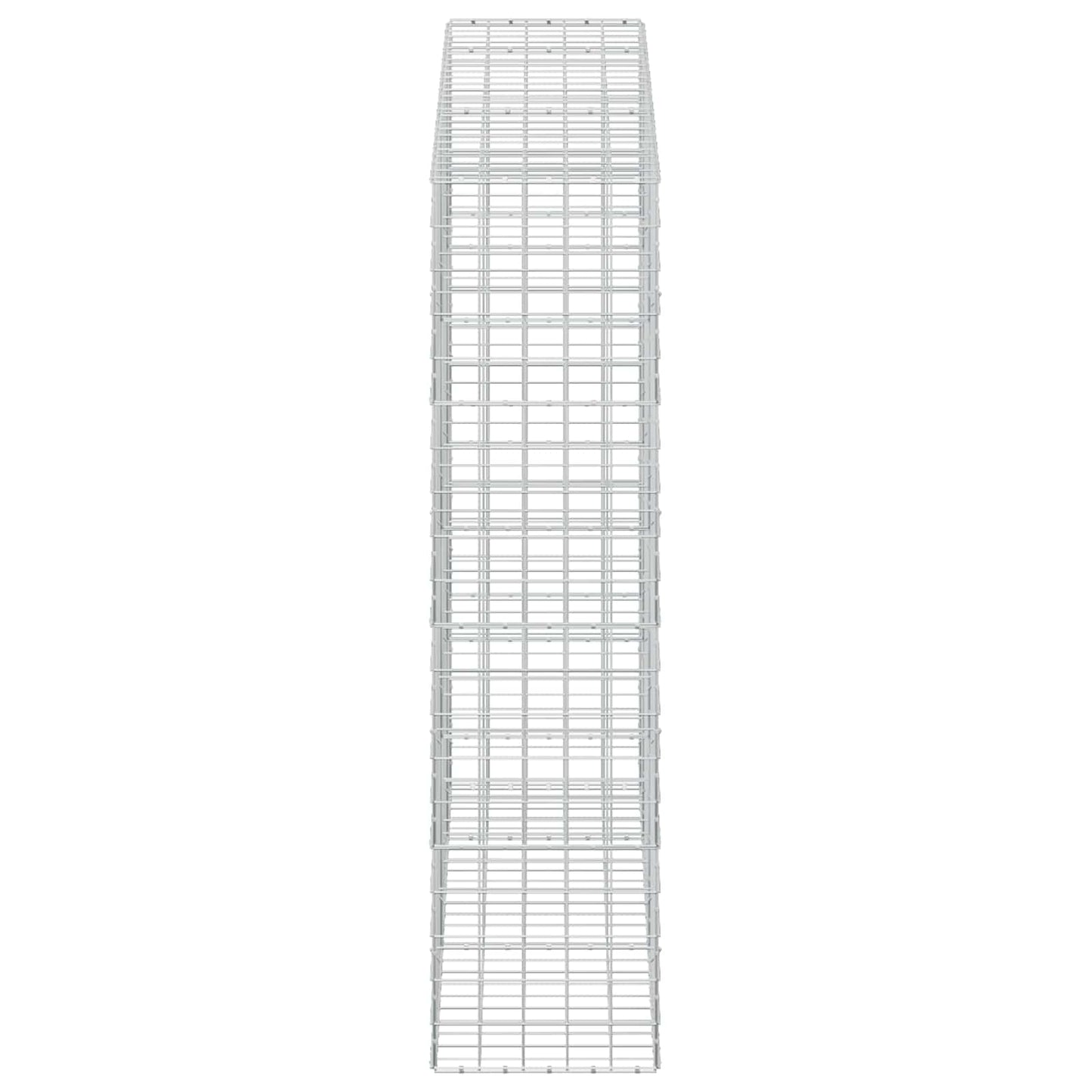 vidaXL Γκαμπιόν με σύρμα 5 mm και πλέγμα 10x10 cm 250x50x200 εκ.