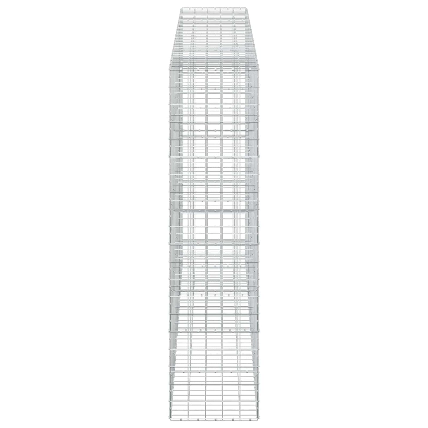 vidaXL Γκαμπιόν με σύρμα 5 mm και πλέγμα 10x10 cm 400x50x200 εκ