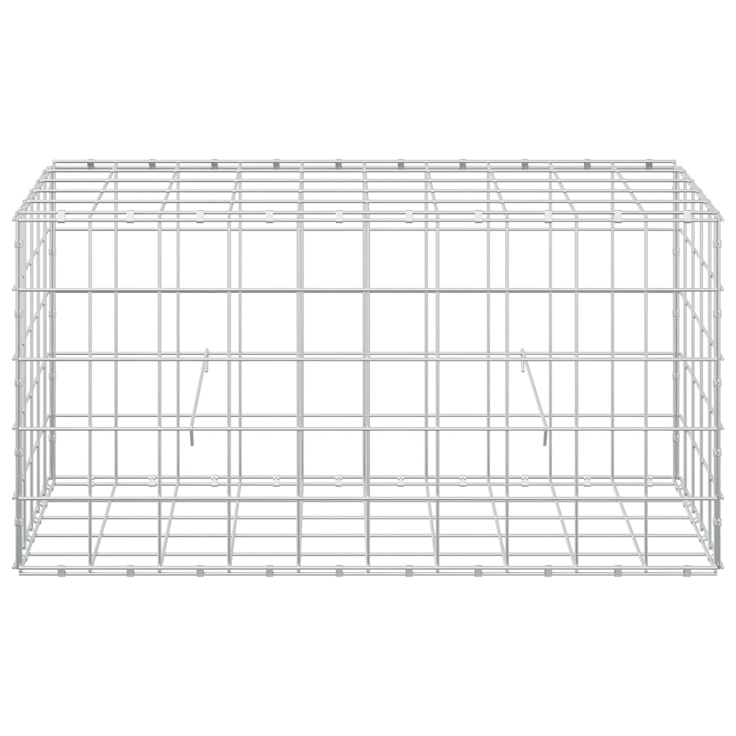 vidaXL Γκαμπιόν με σύρμα 5 mm και πλέγμα 10x10 cm 50x100x50 εκ