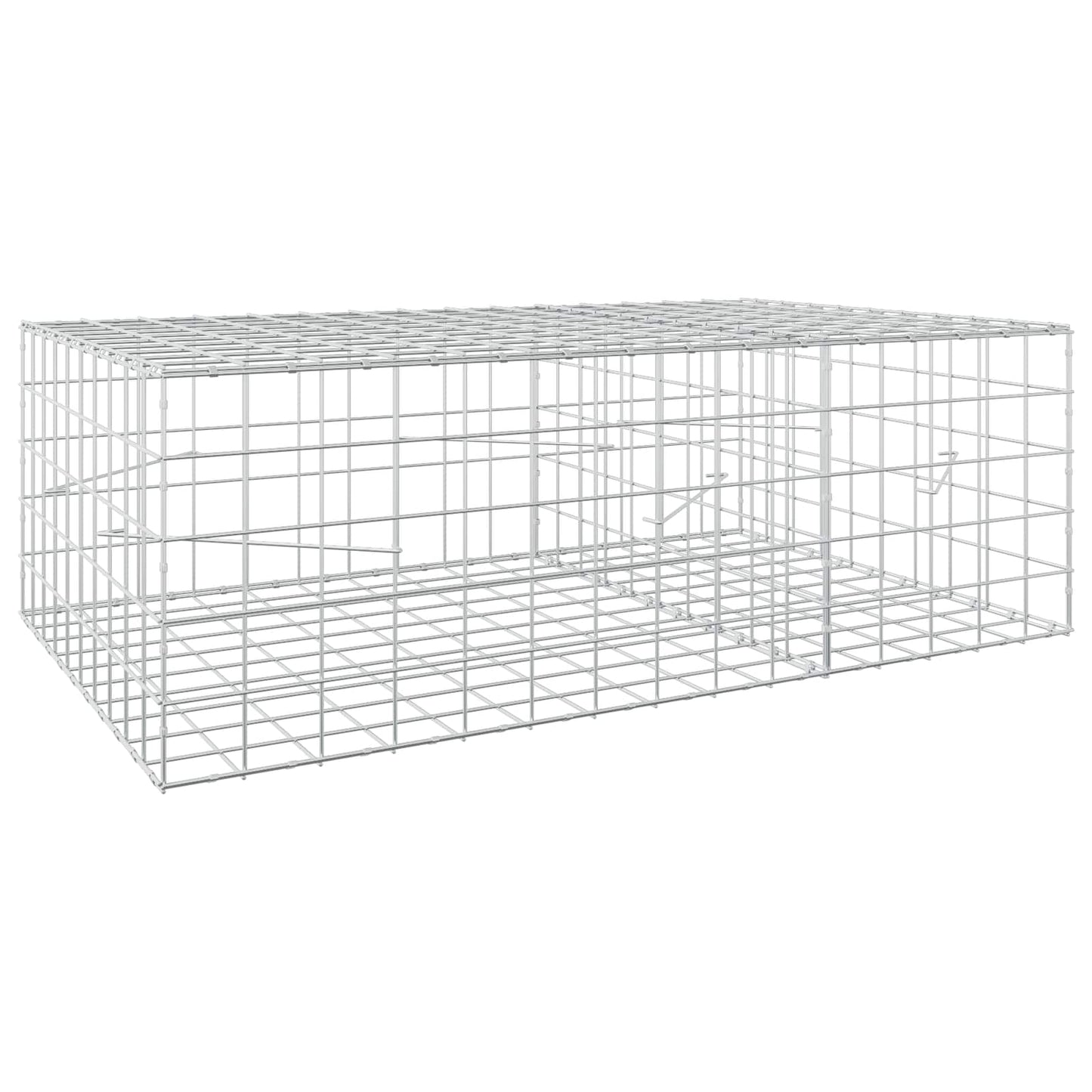 vidaXL Γκαμπιόν με σύρμα 5 mm και πλέγμα 10x10 cm 150x100x50 εκ