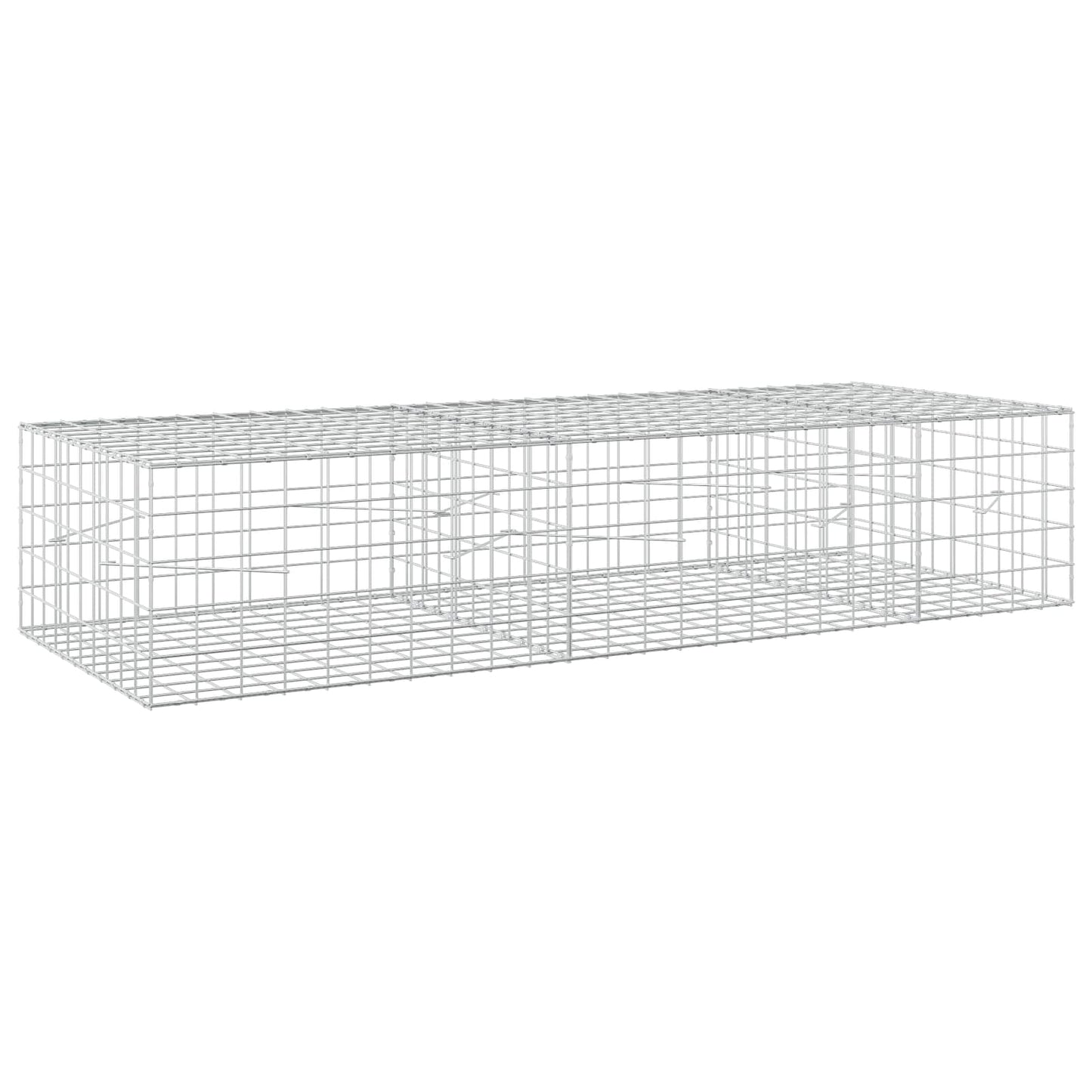 vidaXL Γκαμπιόν με σύρμα 5 mm και πλέγμα 10x10 cm 250x100x50 εκ.