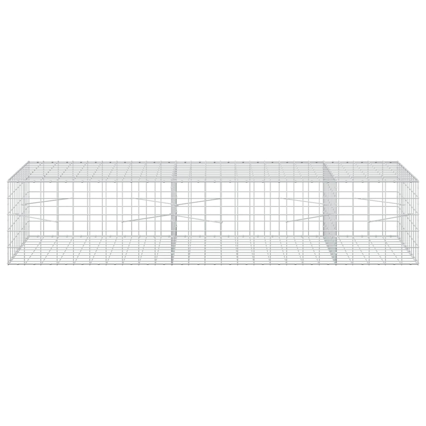 vidaXL Γκαμπιόν με σύρμα 5 mm και πλέγμα 10x10 cm 250x100x50 εκ.