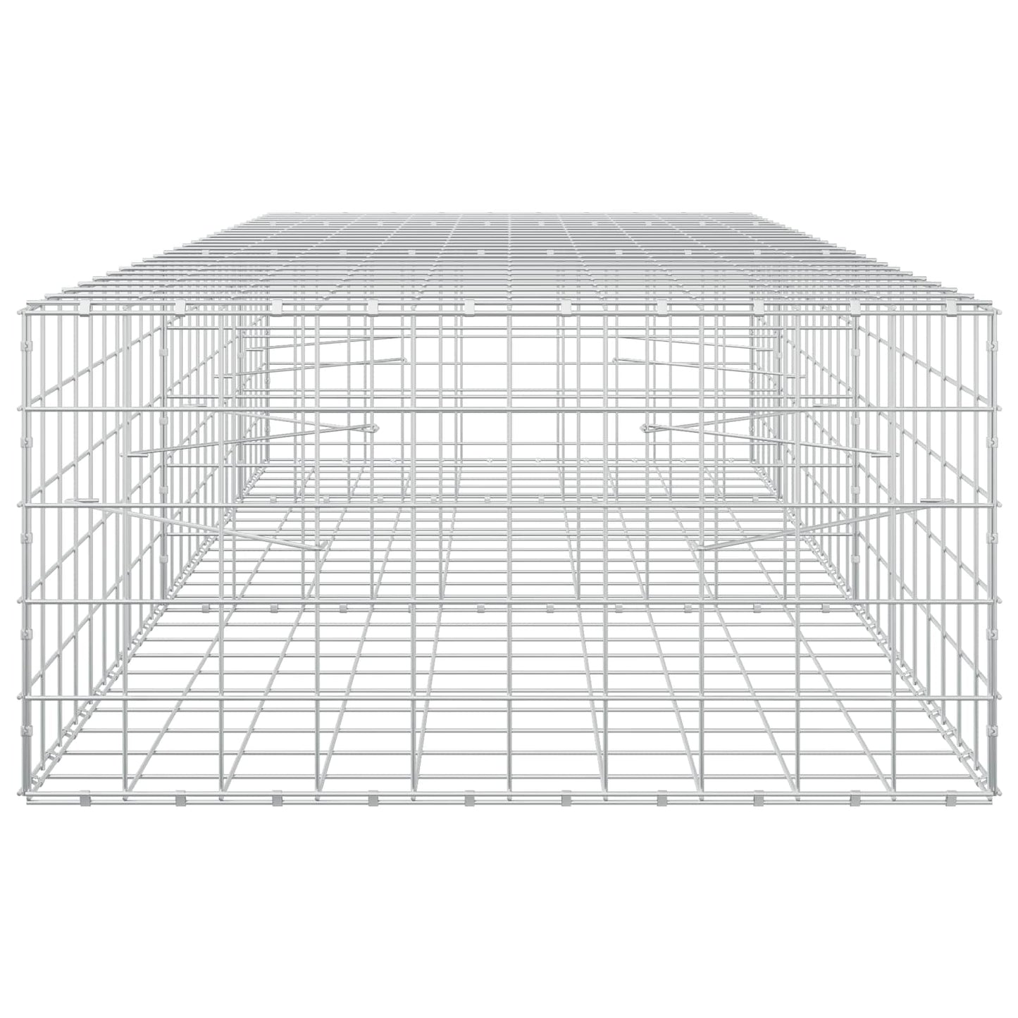 vidaXL Γκαμπιόν με σύρμα 5 mm και πλέγμα 10x10 cm 250x100x50 εκ.