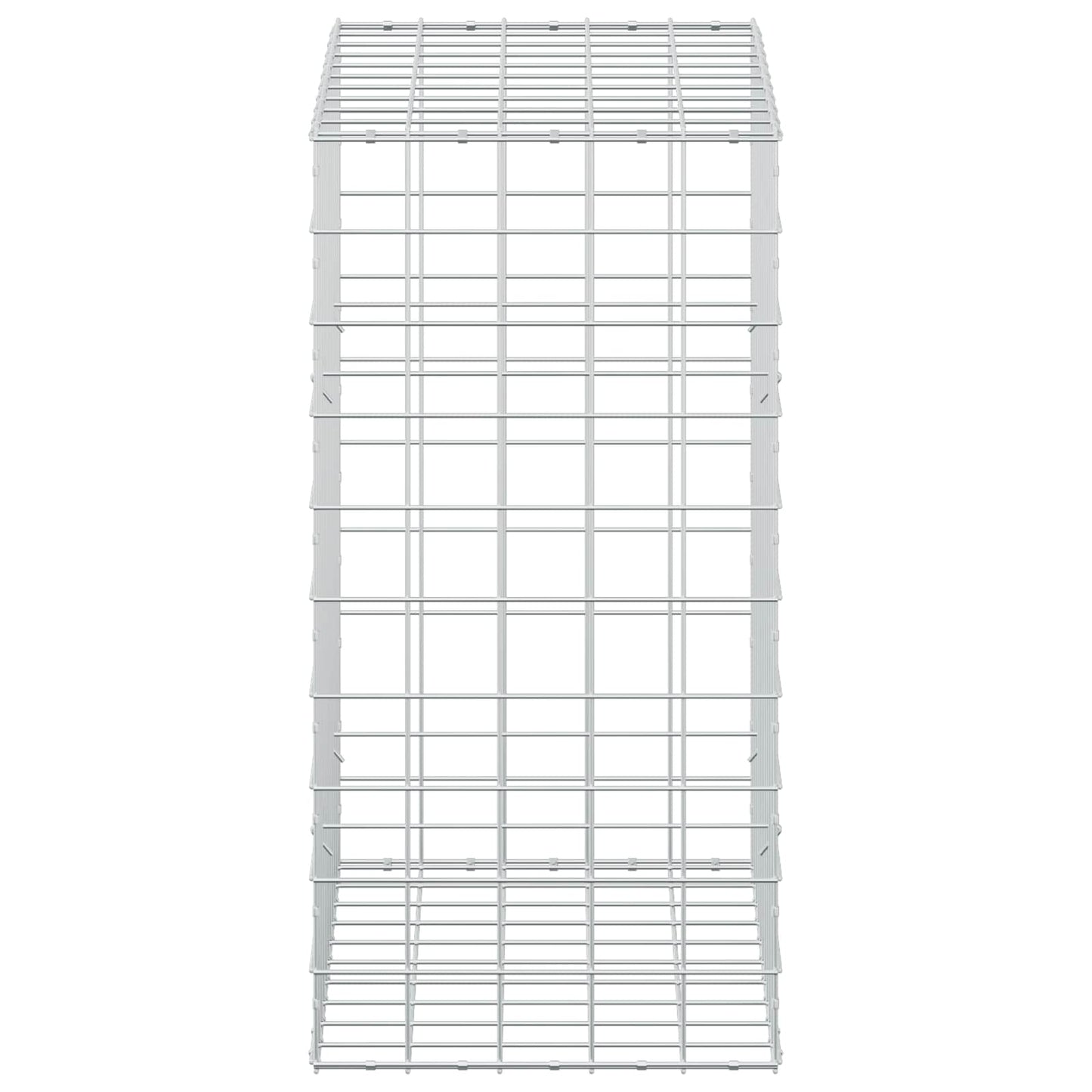 vidaXL Γκαμπιόν με σύρμα 5 mm και πλέγμα 10x10 cm 50x100x100 εκ