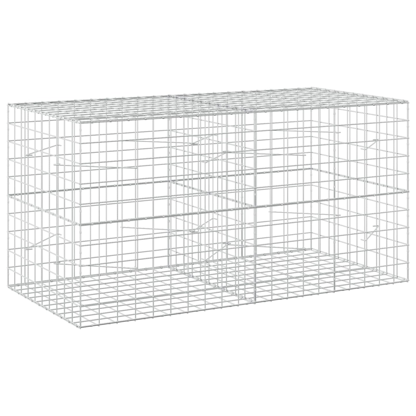vidaXL Γκαμπιόν με σύρμα 5 mm και πλέγμα 10x10 cm 200x100x100 εκ.