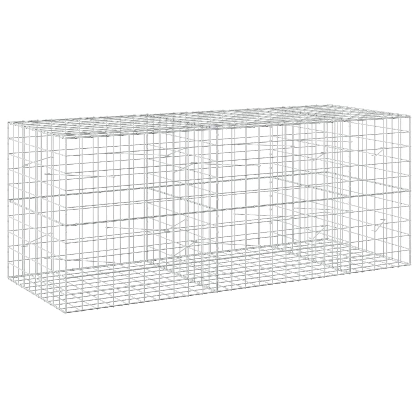 vidaXL Γκαμπιόν με σύρμα 5 mm και πλέγμα 10x10 cm 250x100x100 εκ.
