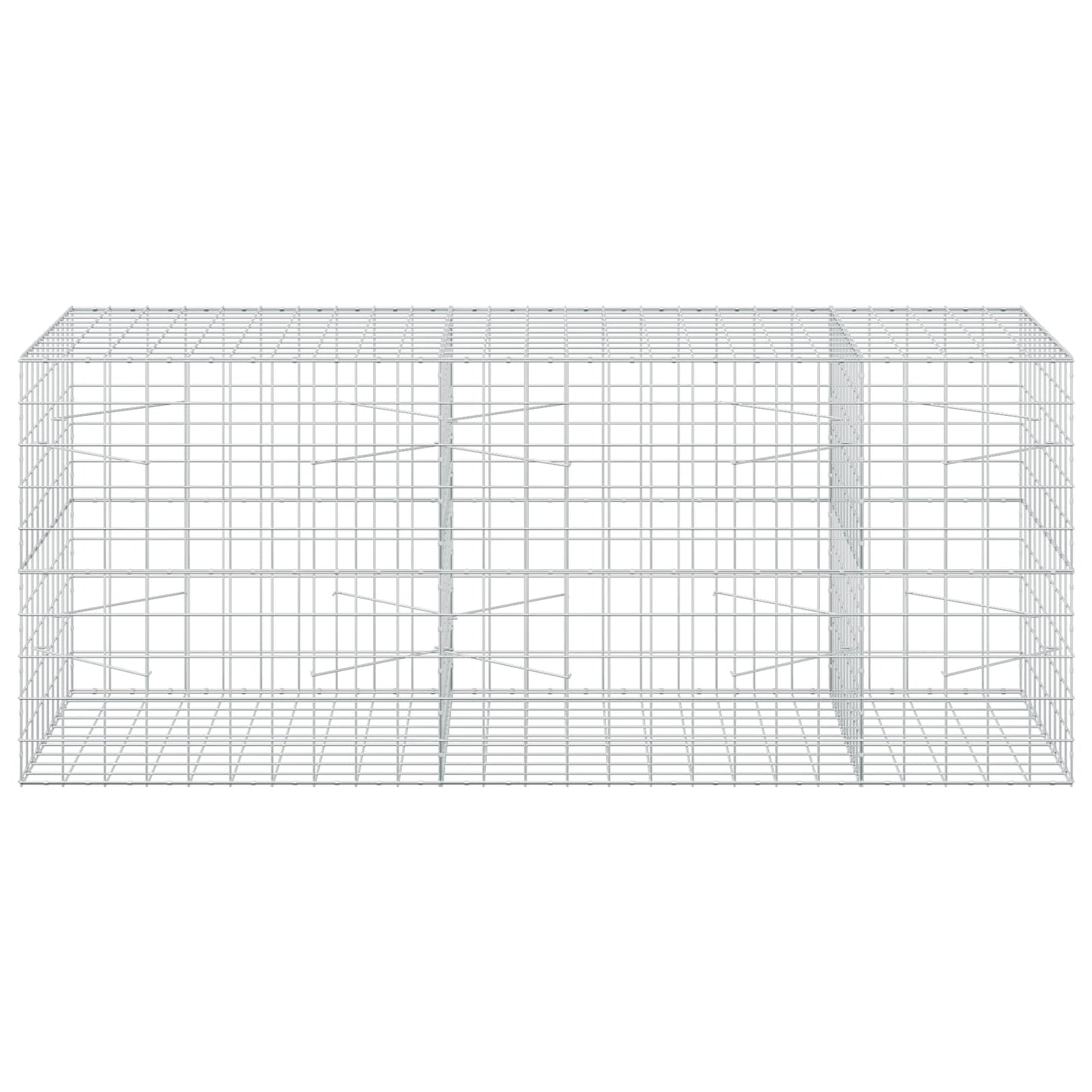 vidaXL Γκαμπιόν με σύρμα 5 mm και πλέγμα 10x10 cm 250x100x100 εκ.