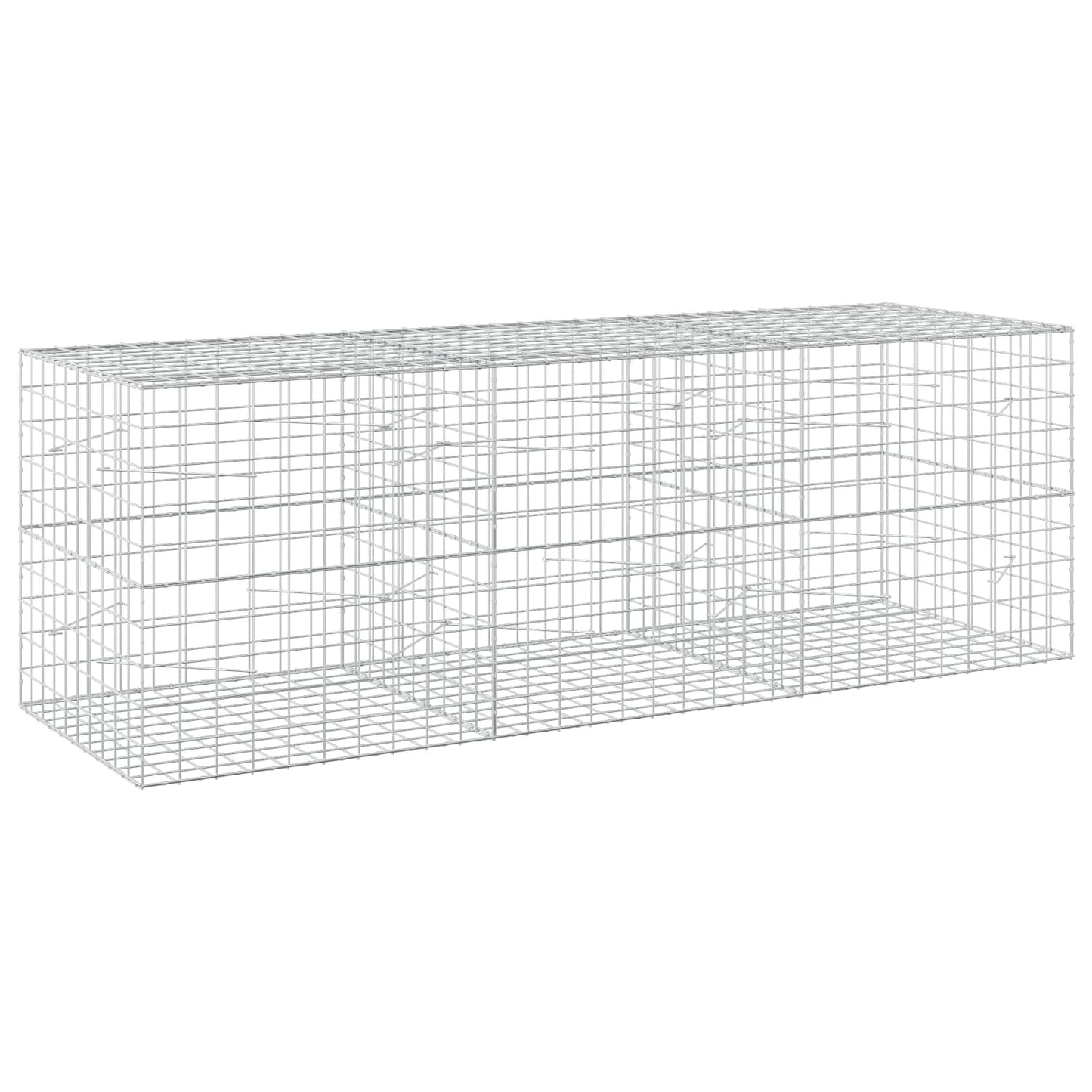 vidaXL Γκαμπιόν με σύρμα 5 mm και πλέγμα 10x10 cm 300x100x100 εκ.